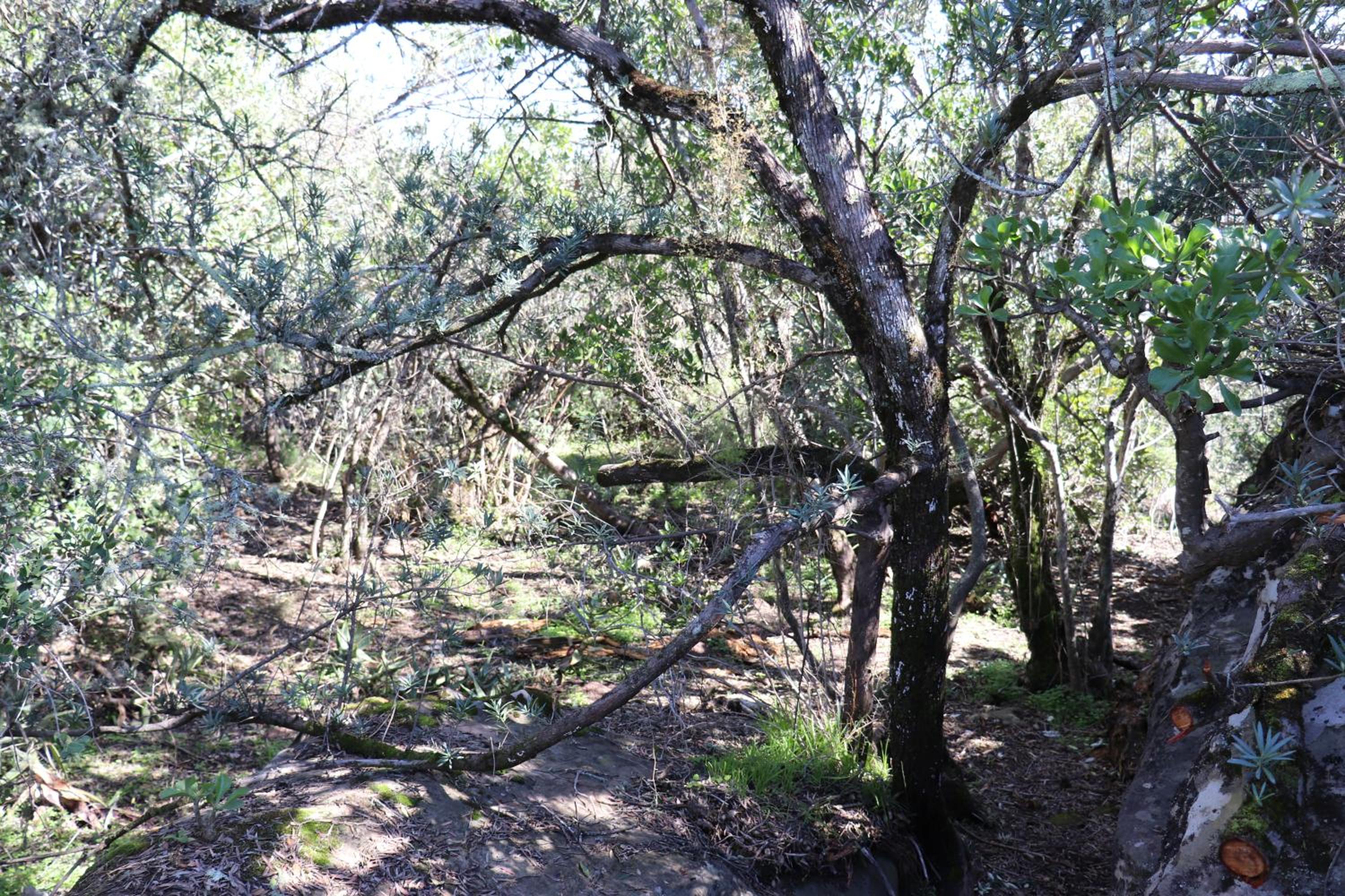 Photo 40