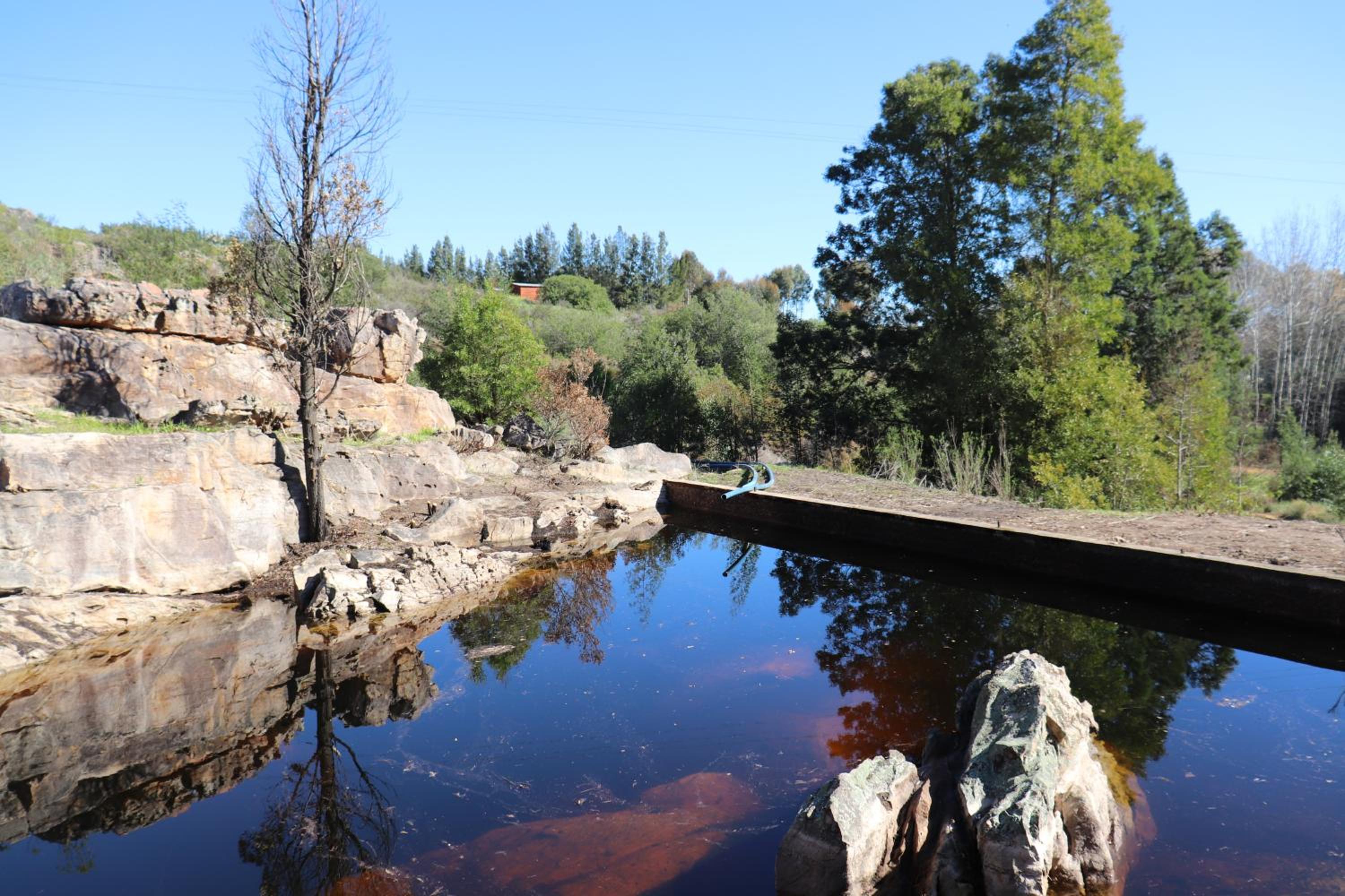 Photo 42