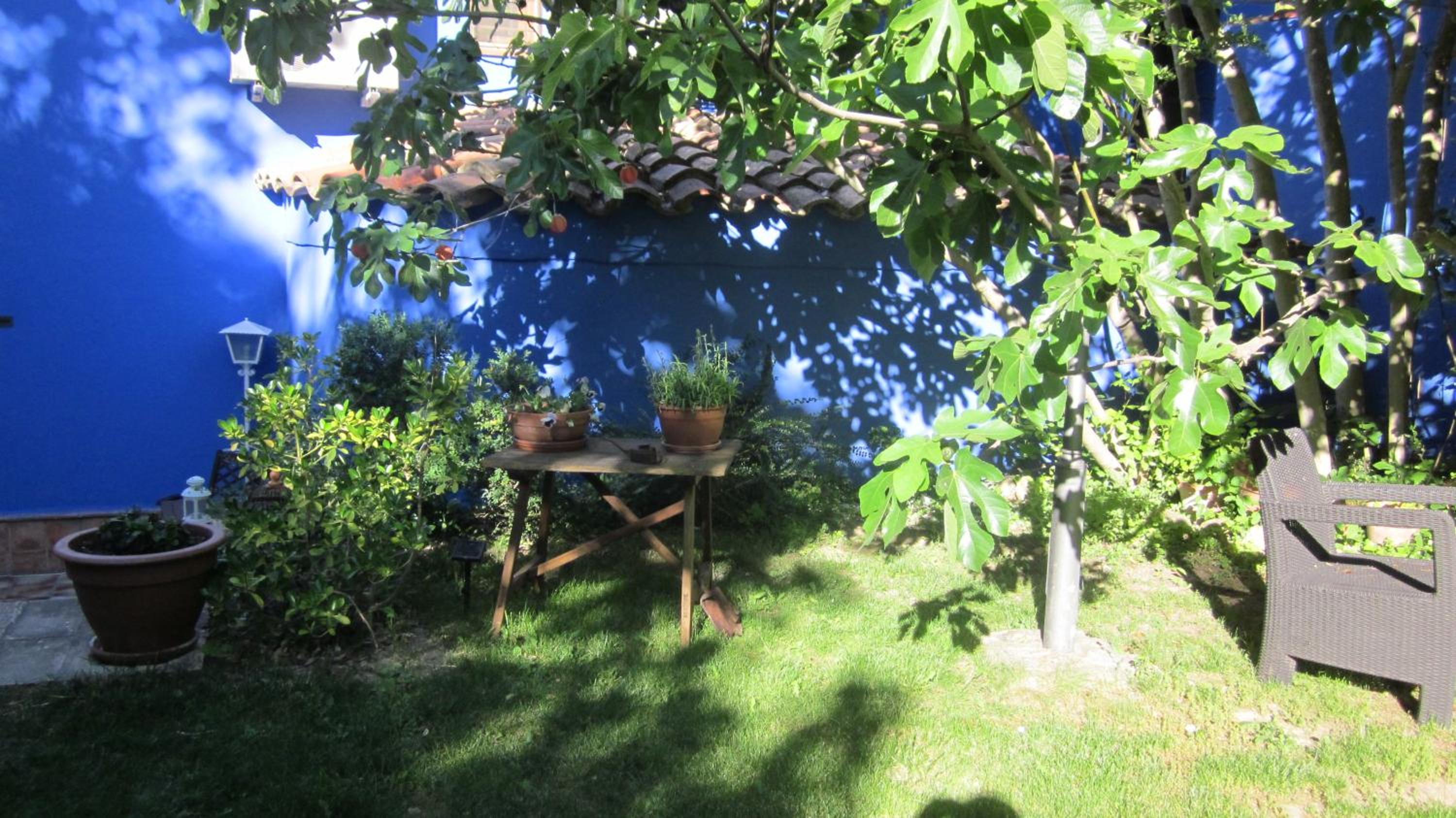 garden