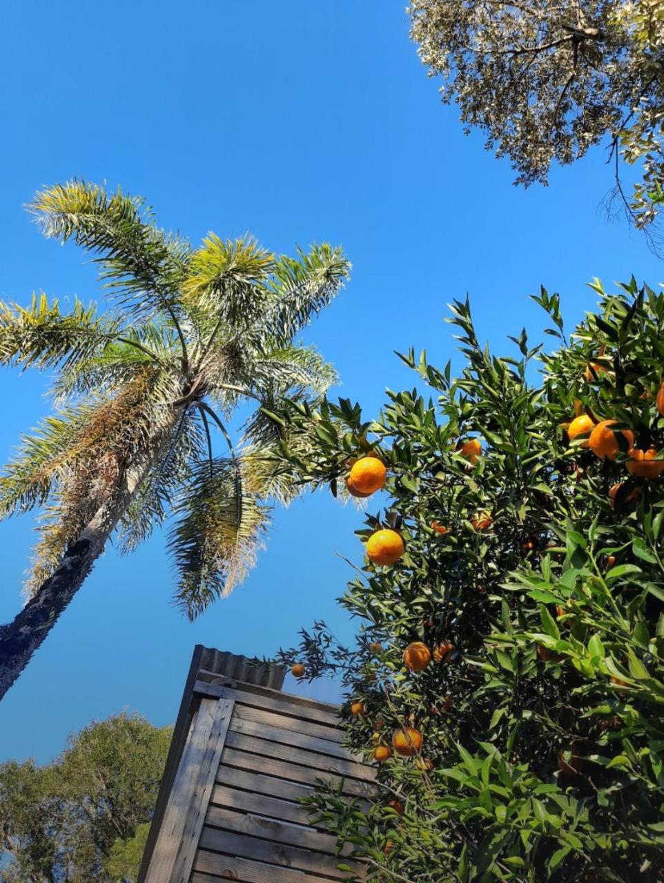 Pousada Quinta São Pedro view 3