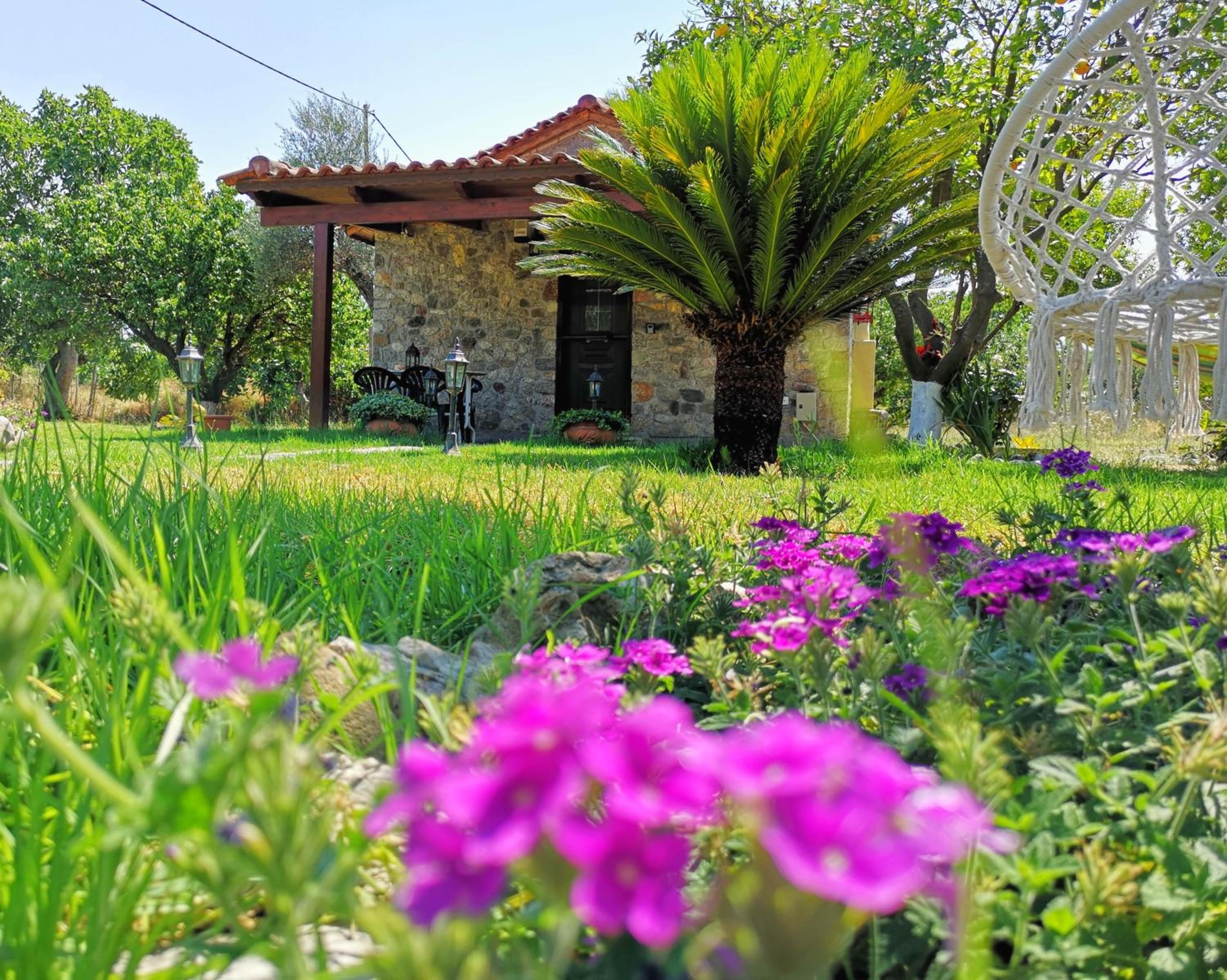 Patras stonehouse with large yard - Πέτρινο σπίτι με αυλή view 5