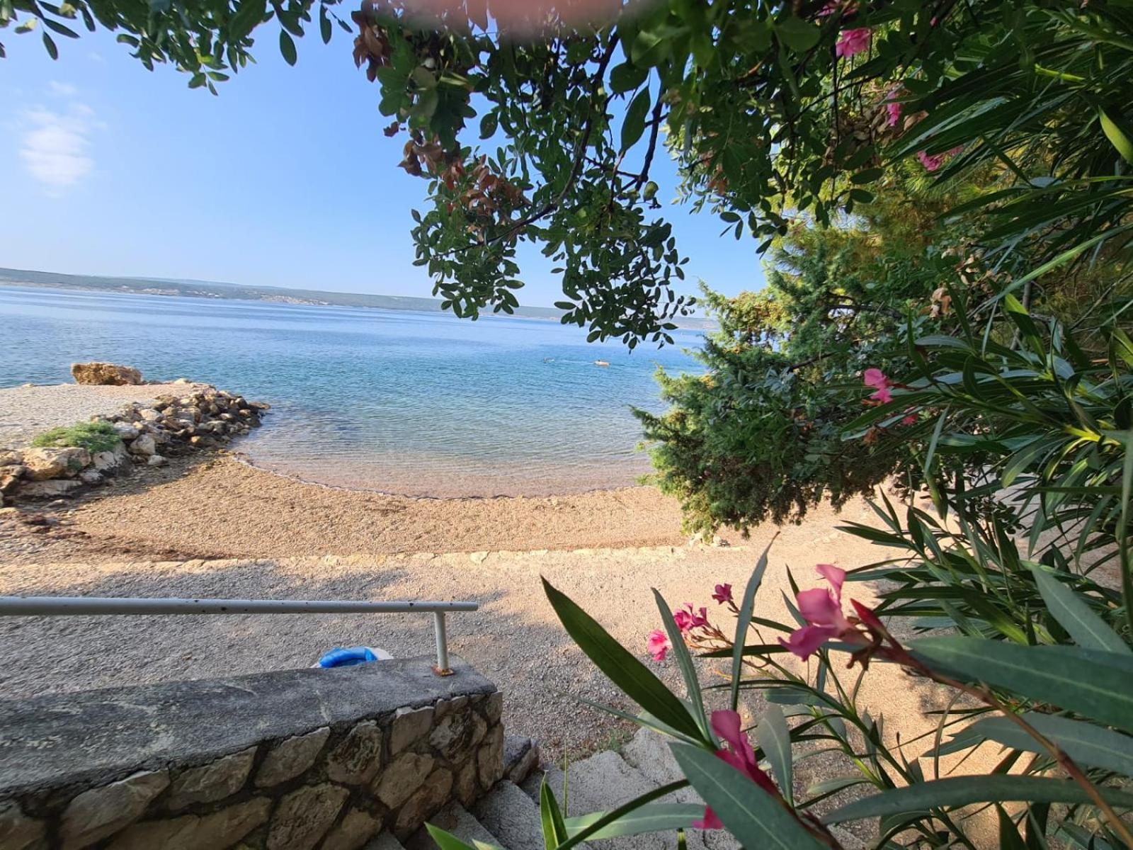 Maslenica-Bougainvillea