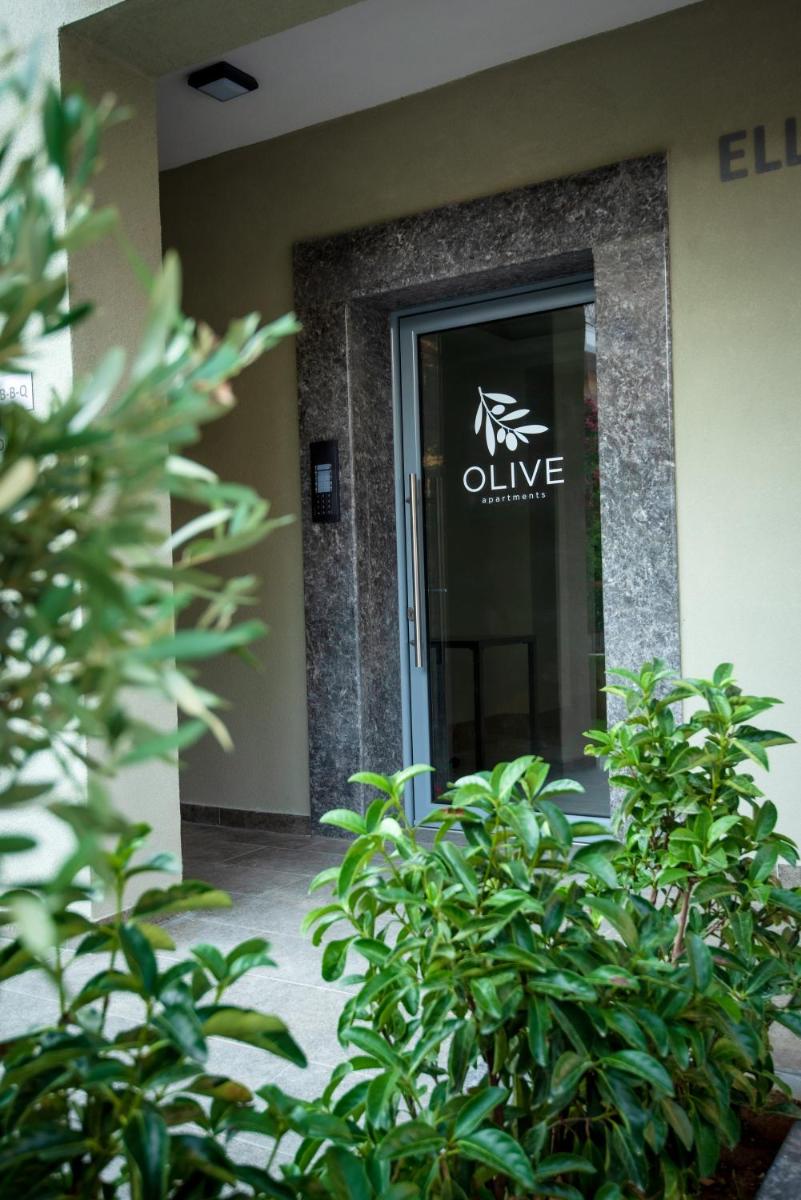 OLIVE 202 photo 5