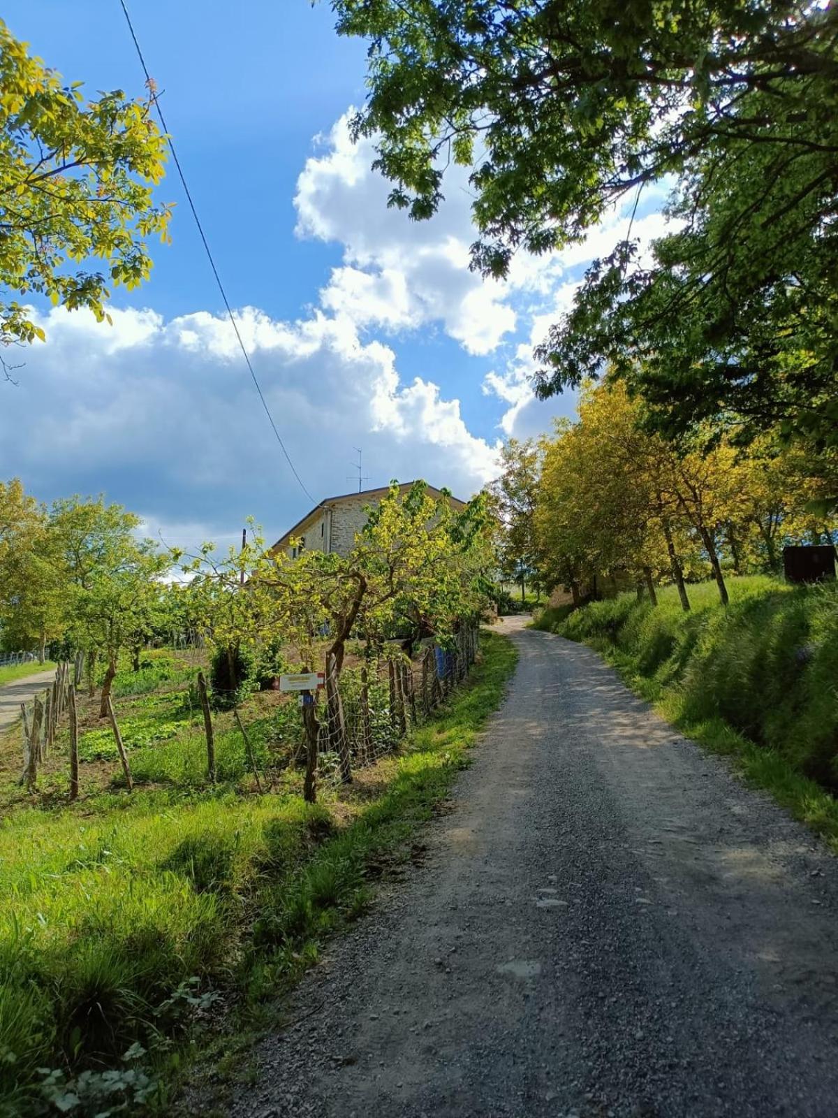 Agriturismo al Monte