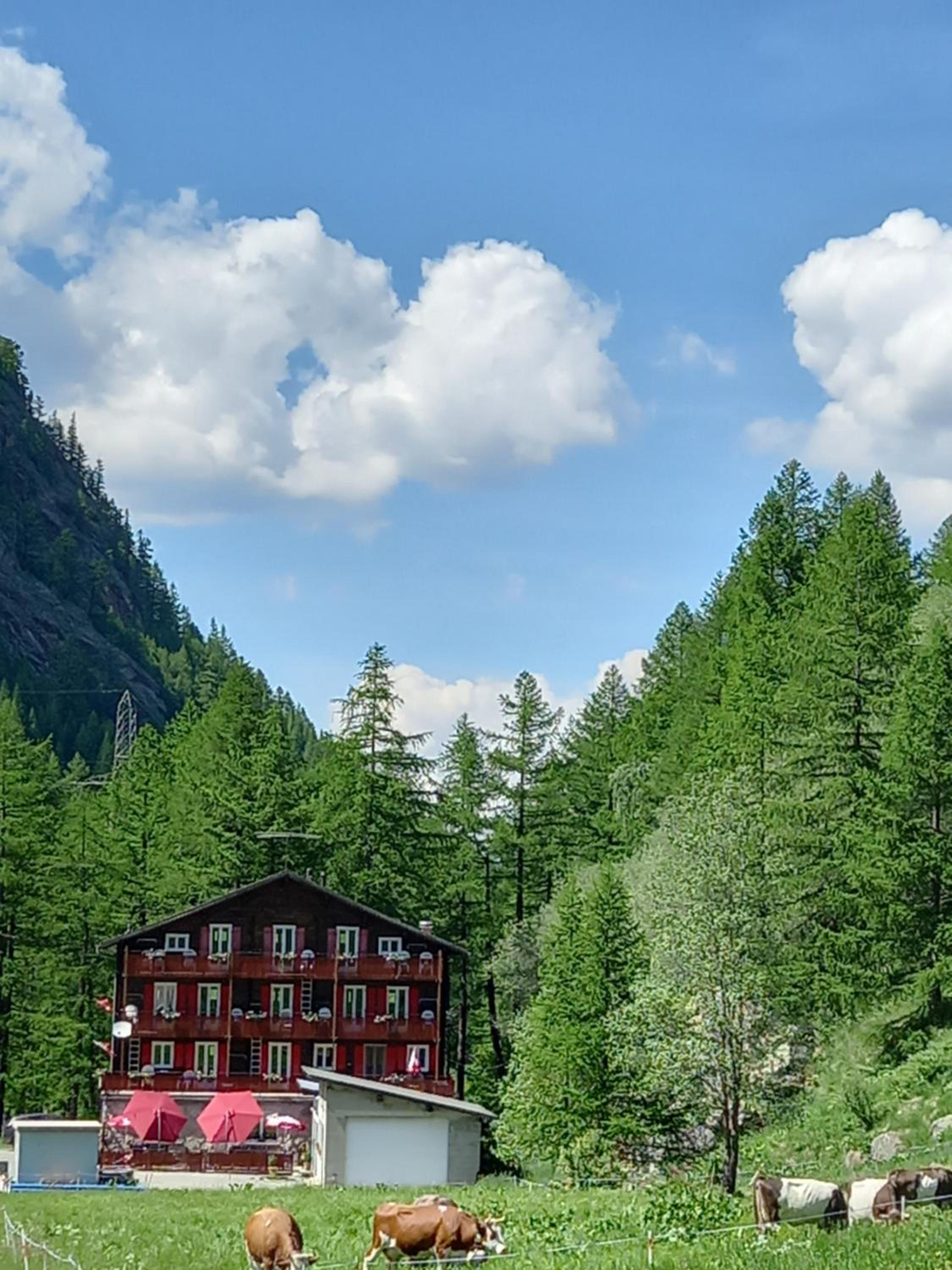 Pension Waldegg Zermeiggern