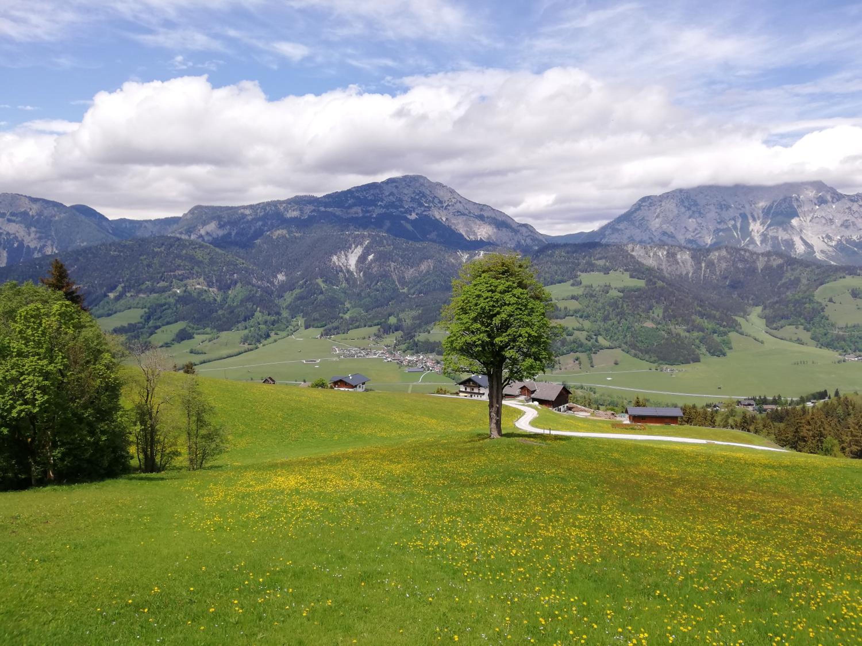 Maierlhof