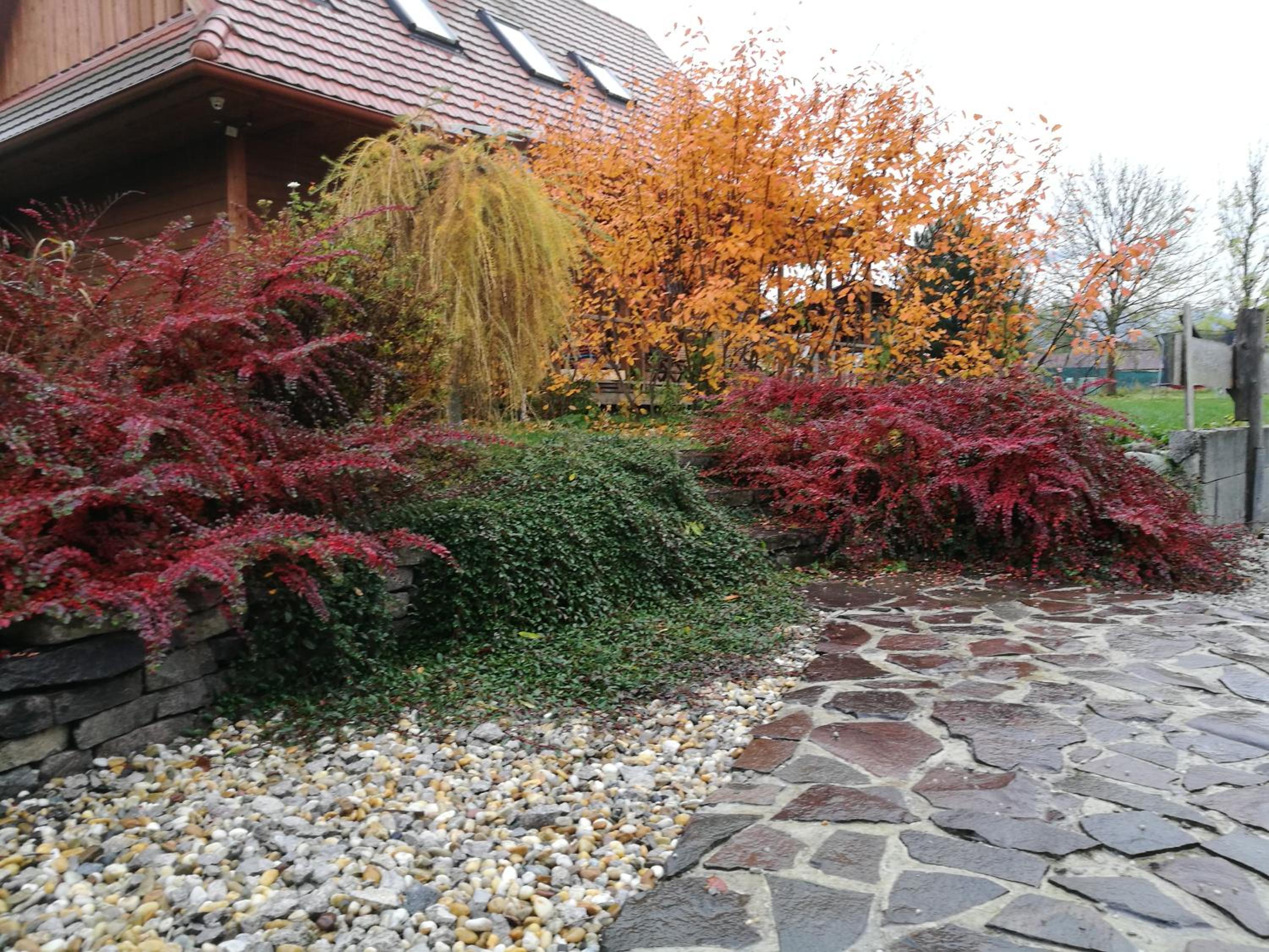 Photo 37