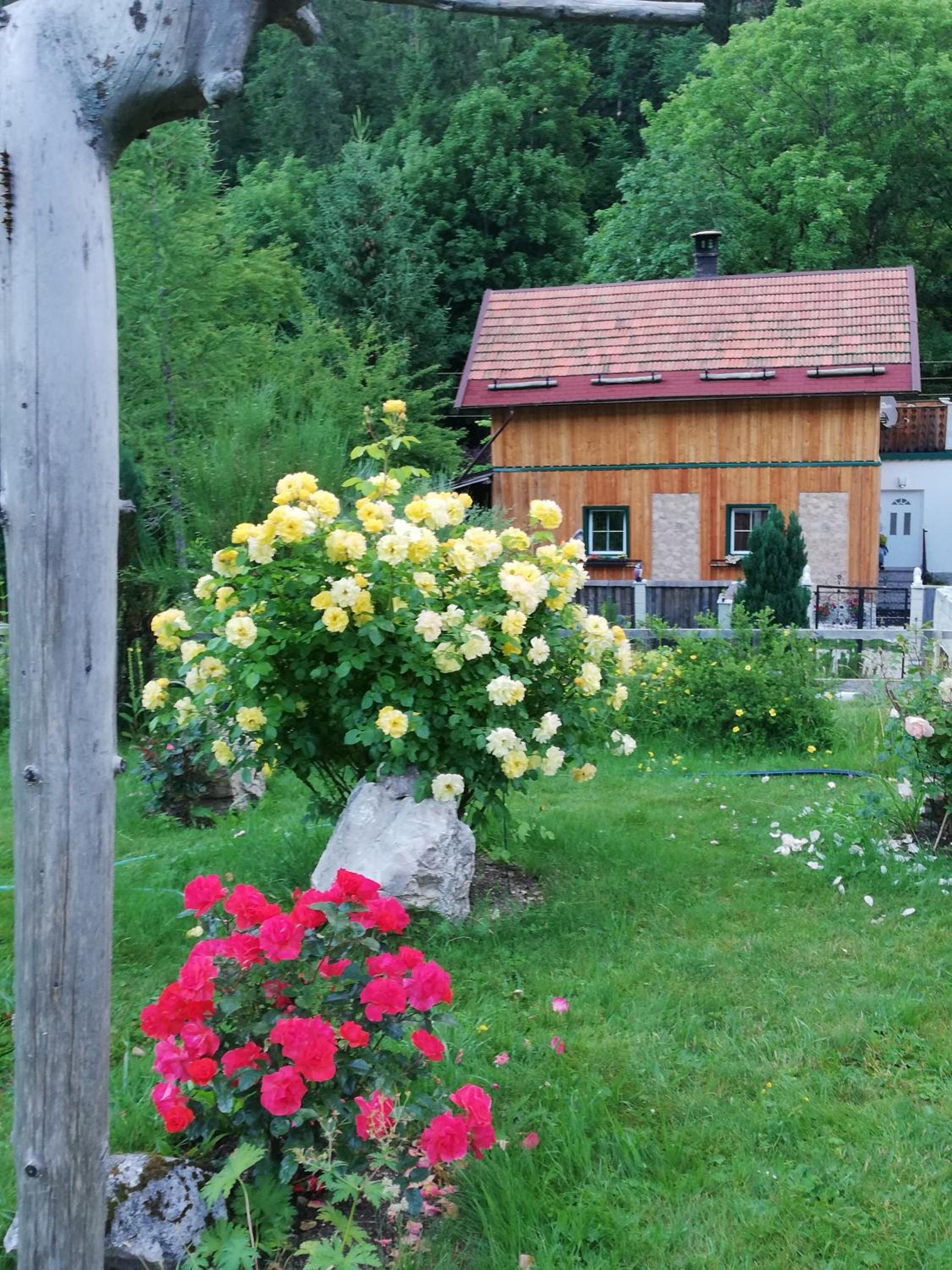 Altes Forsthaus am Bach