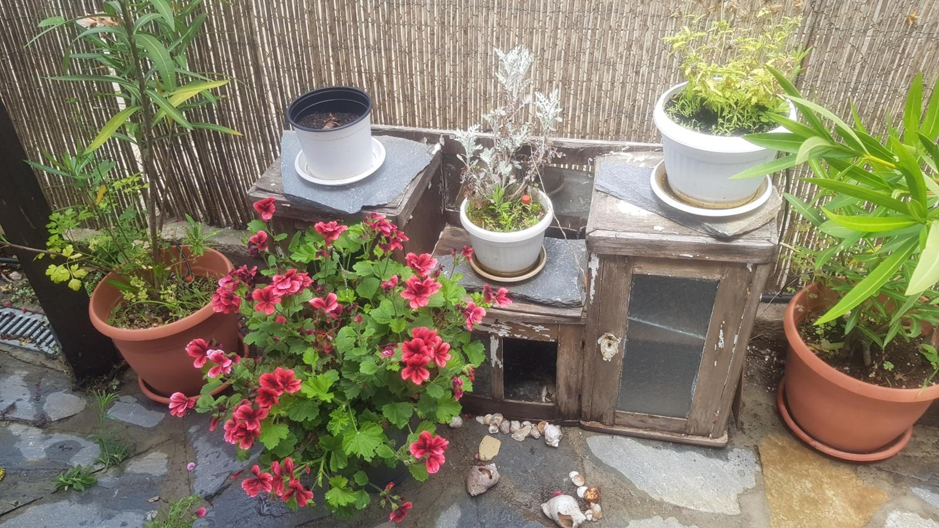 Guest House Antique