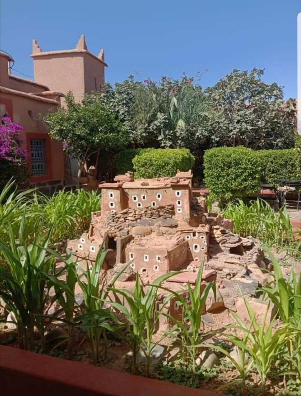 Photo 15