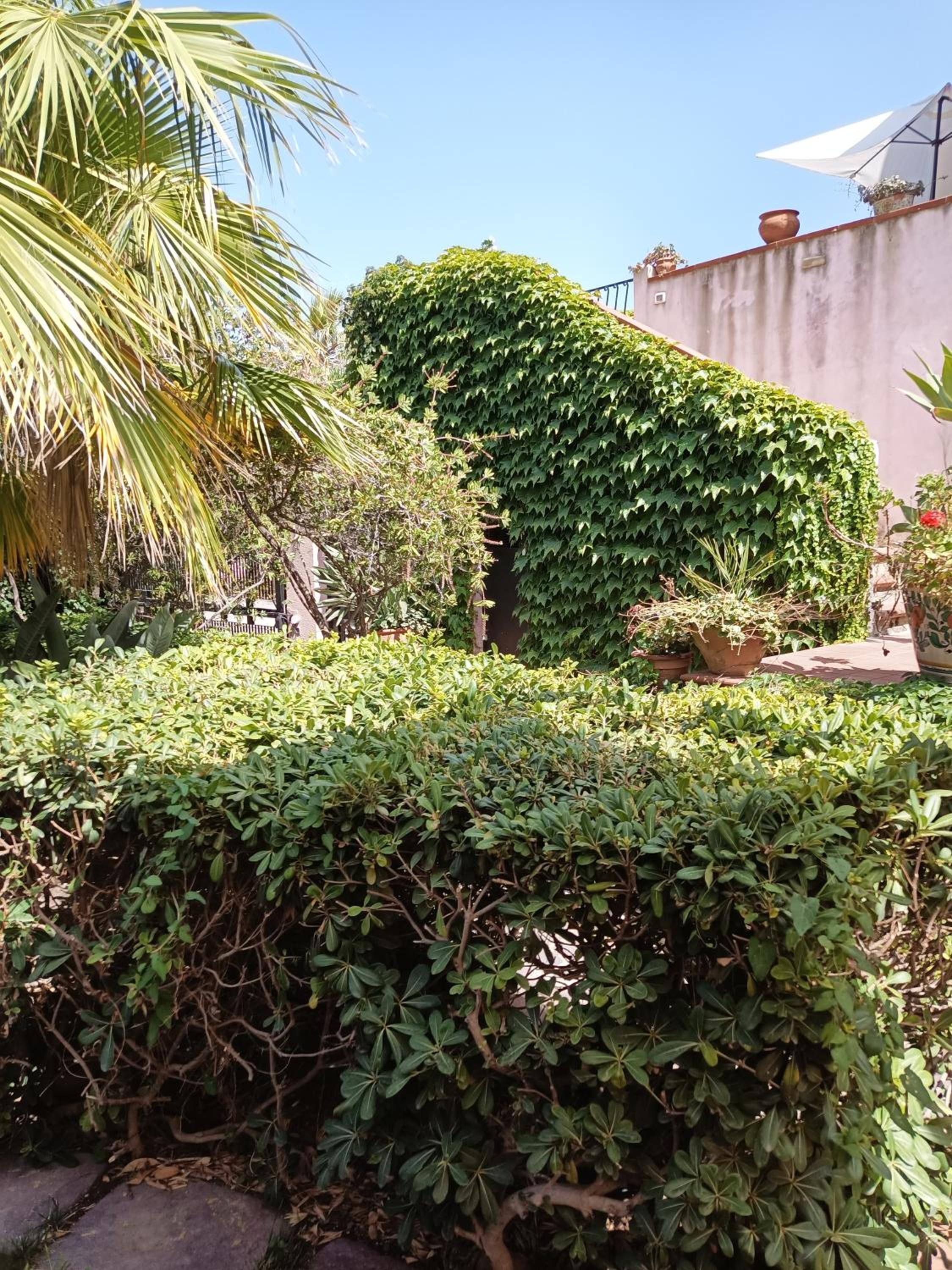 Villa Grande photo 4