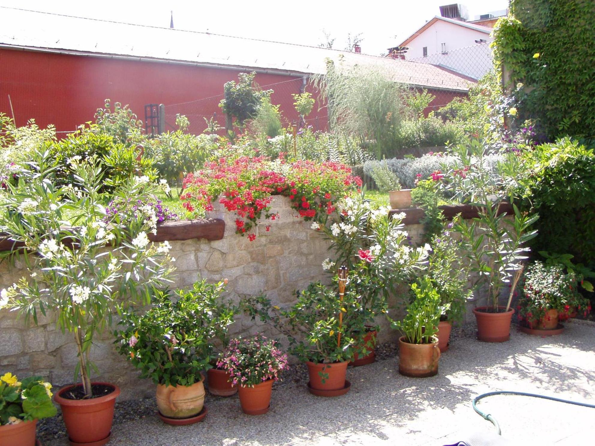Penzion Iga
