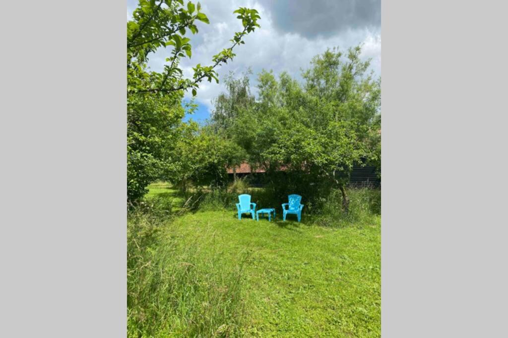 Photo 19
