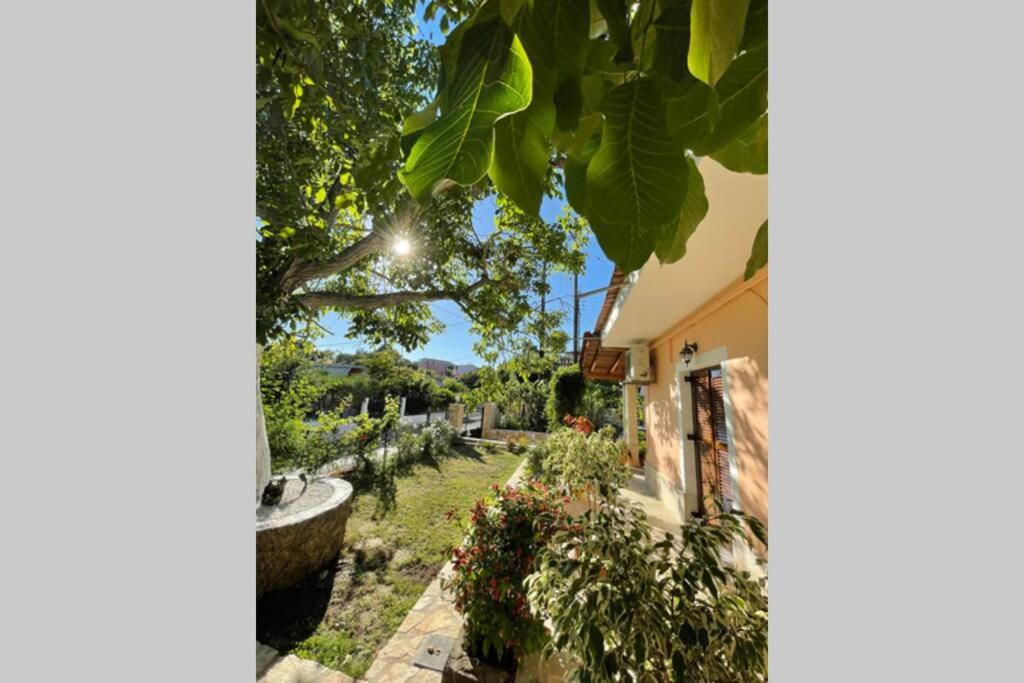 Mina's serene garden house photo 2