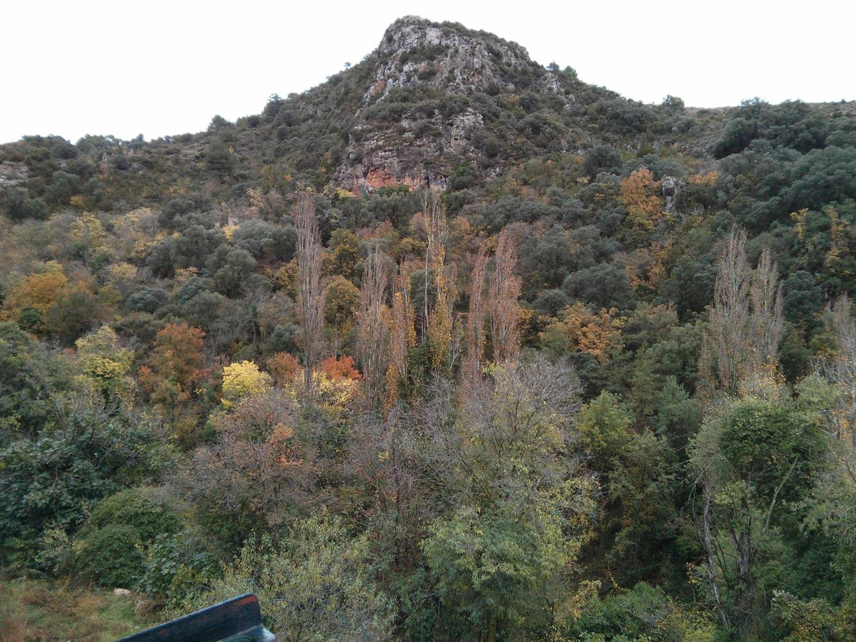 Photo 14