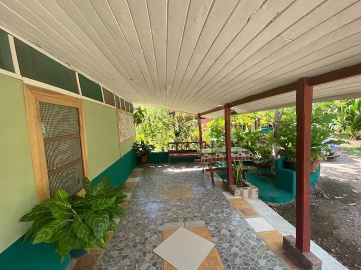 Coco verde