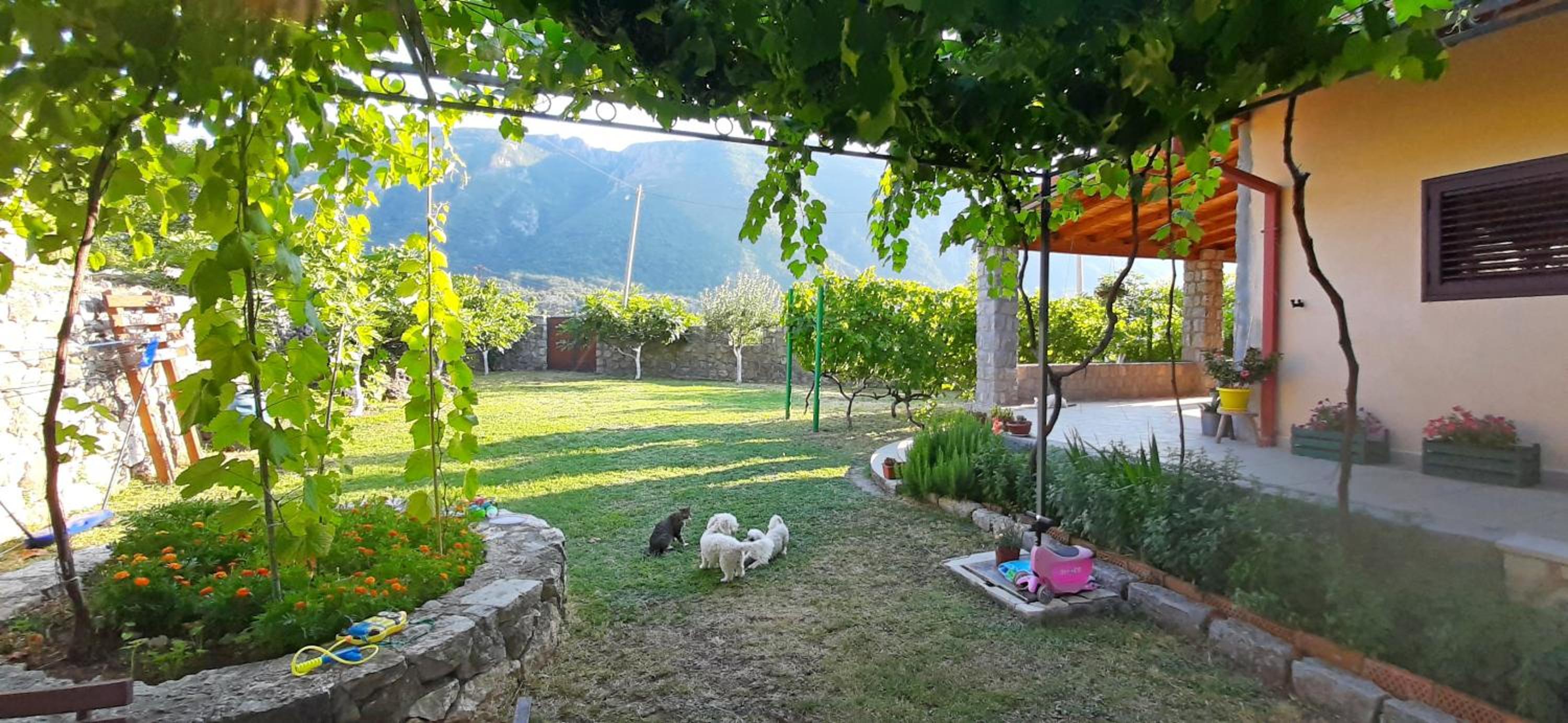 Vila Pegaz photo 5