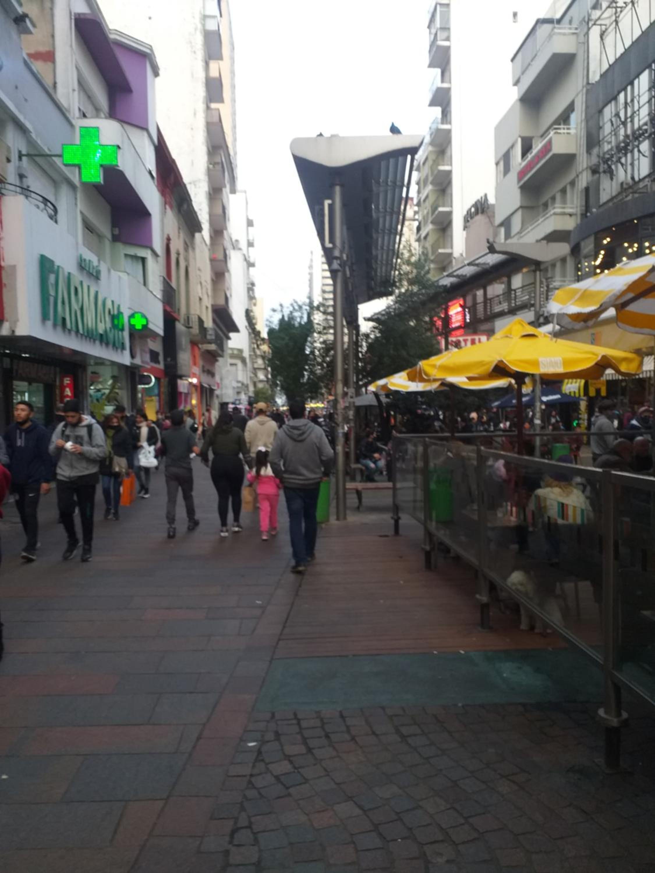 Pleno Centro 2 amb
