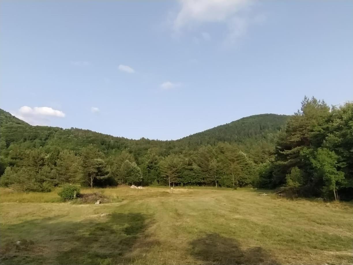 Podklanci-house in the forest view 2