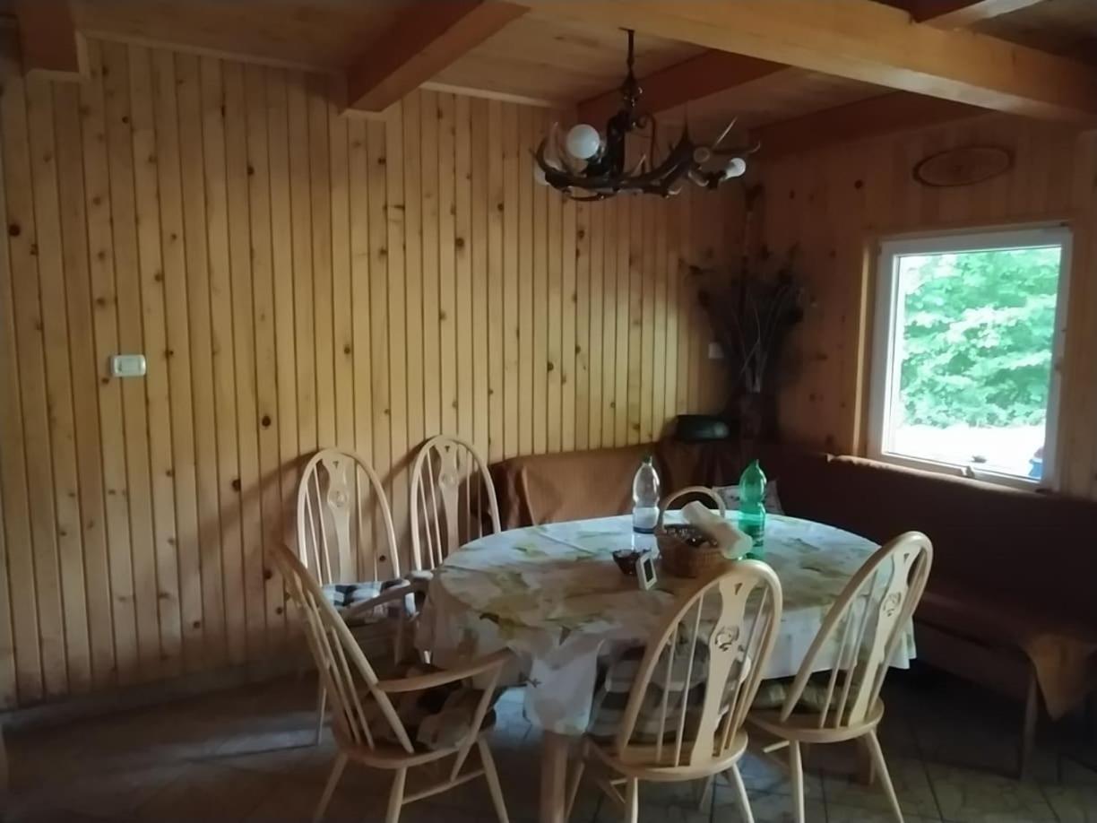 Podklanci-house in the forest view 3