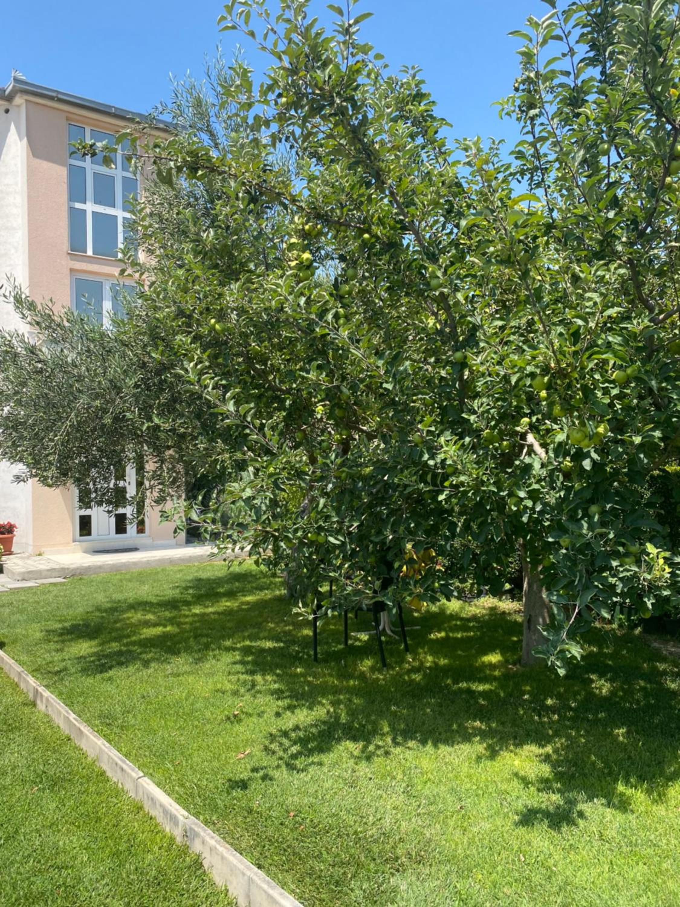 Apartments Brčić
