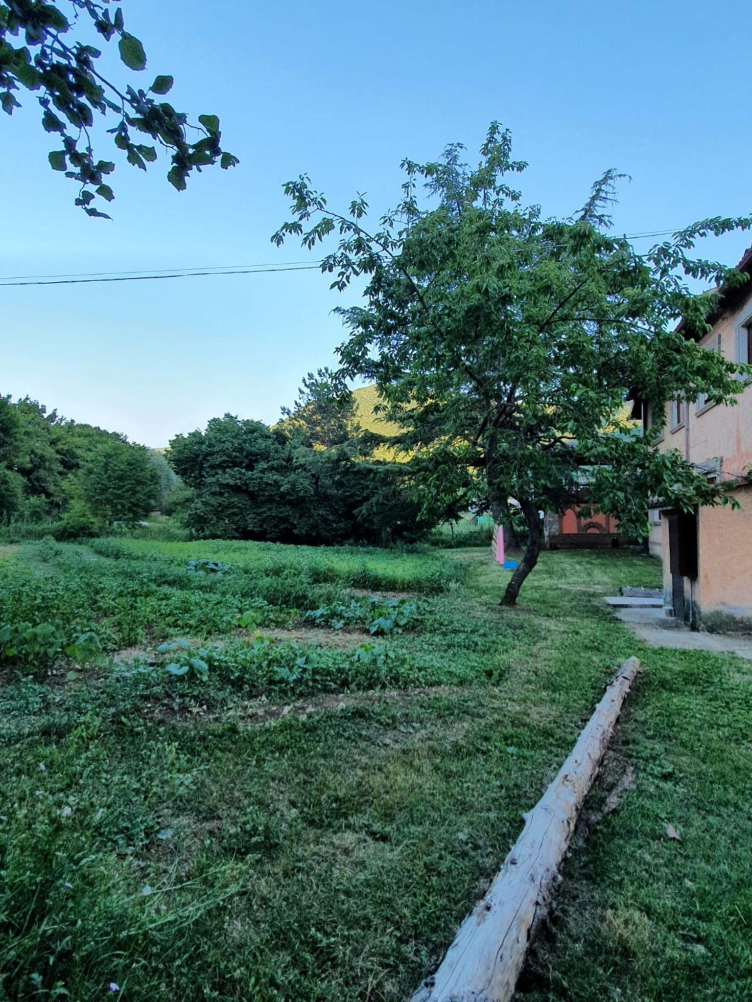 Photo 30
