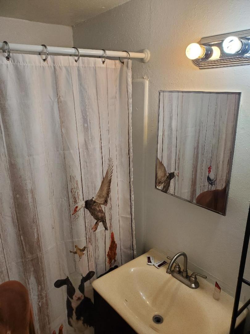 Holbrook Vacations - Brad's Desert Inn - Property Image 3