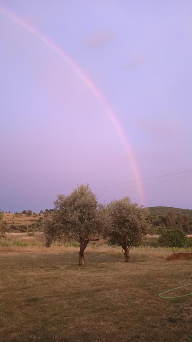 Casa Rural Camino del Alentejo view 5