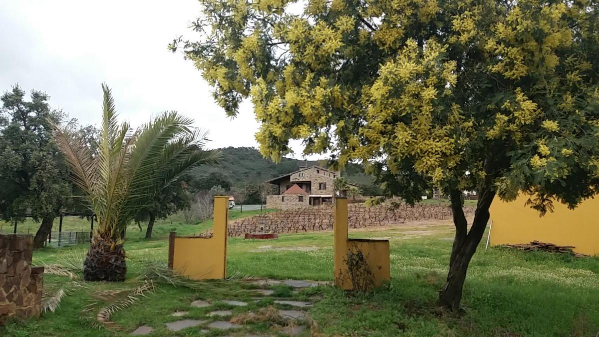 Casa Rural Camino del Alentejo view 3