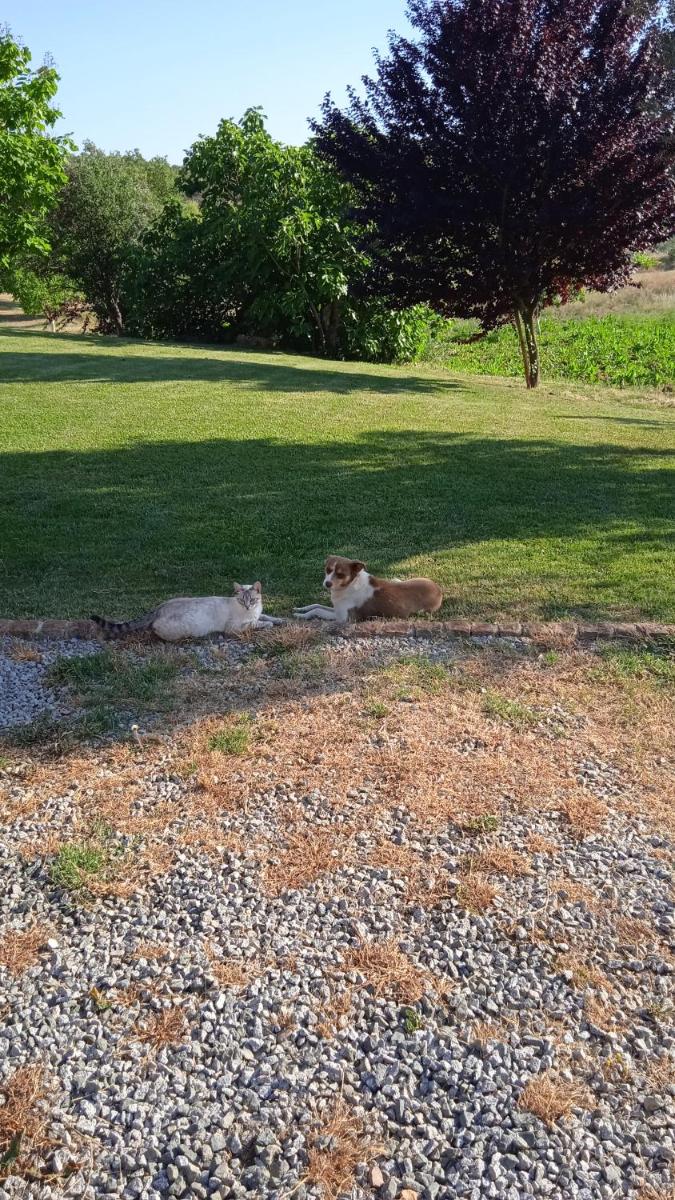 Photo 29
