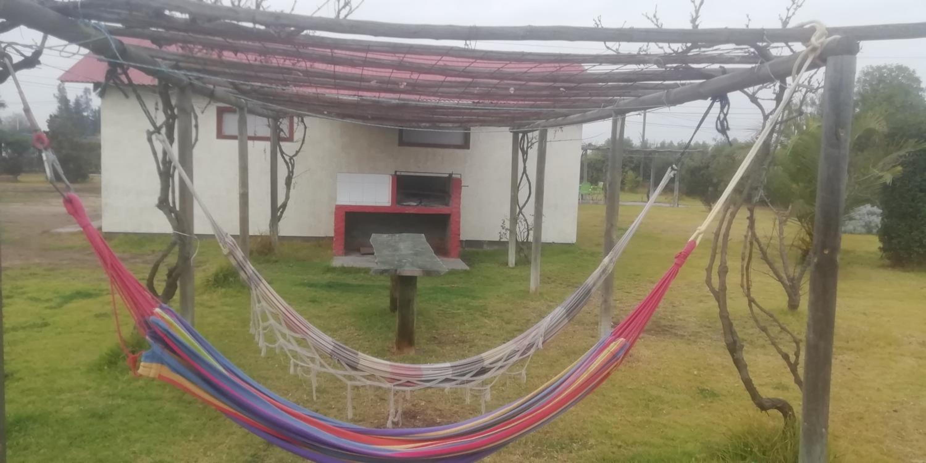 Conectar con la naturaleza te hará más feliz