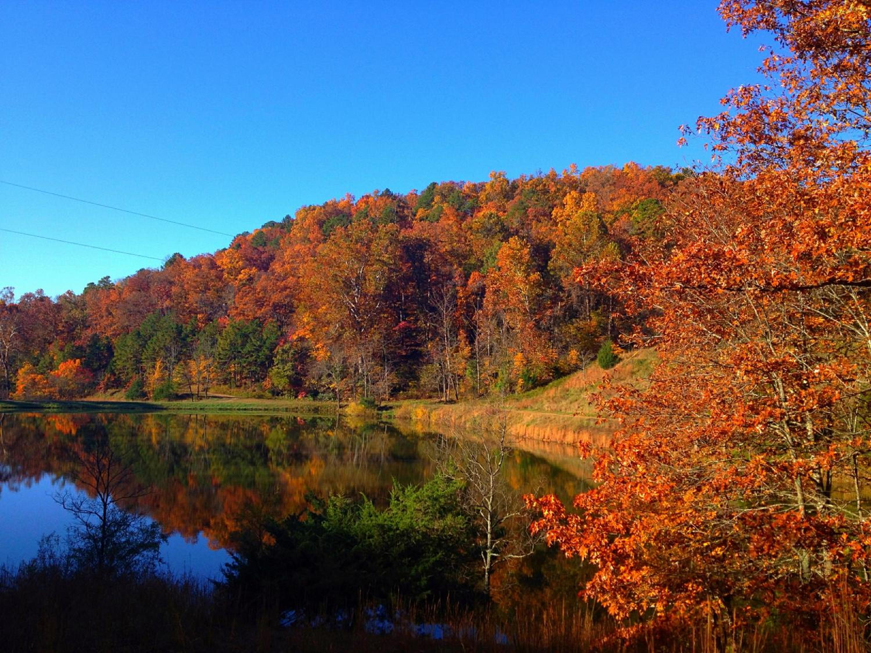 Cinnamon Valley