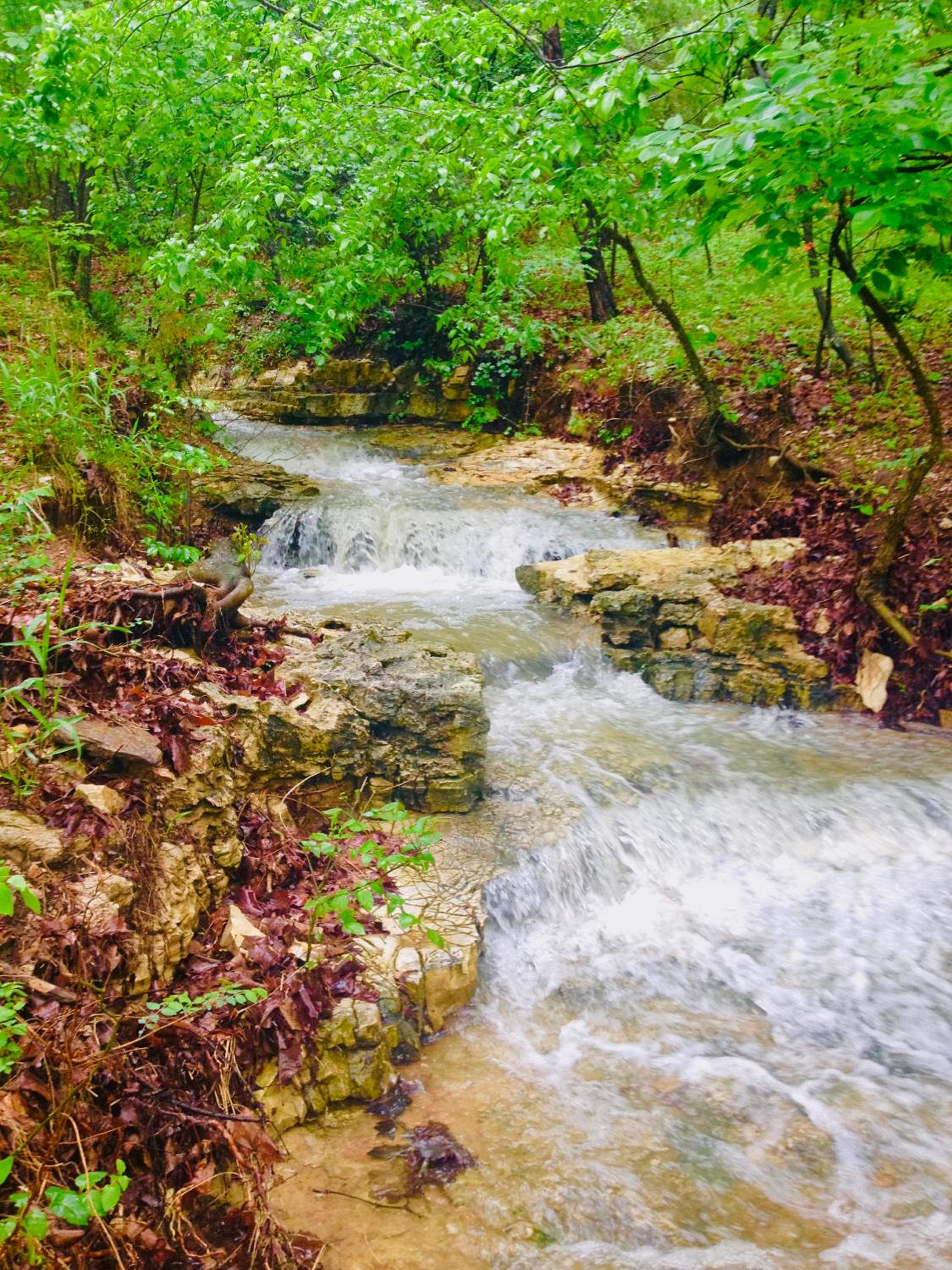 Cinnamon Valley