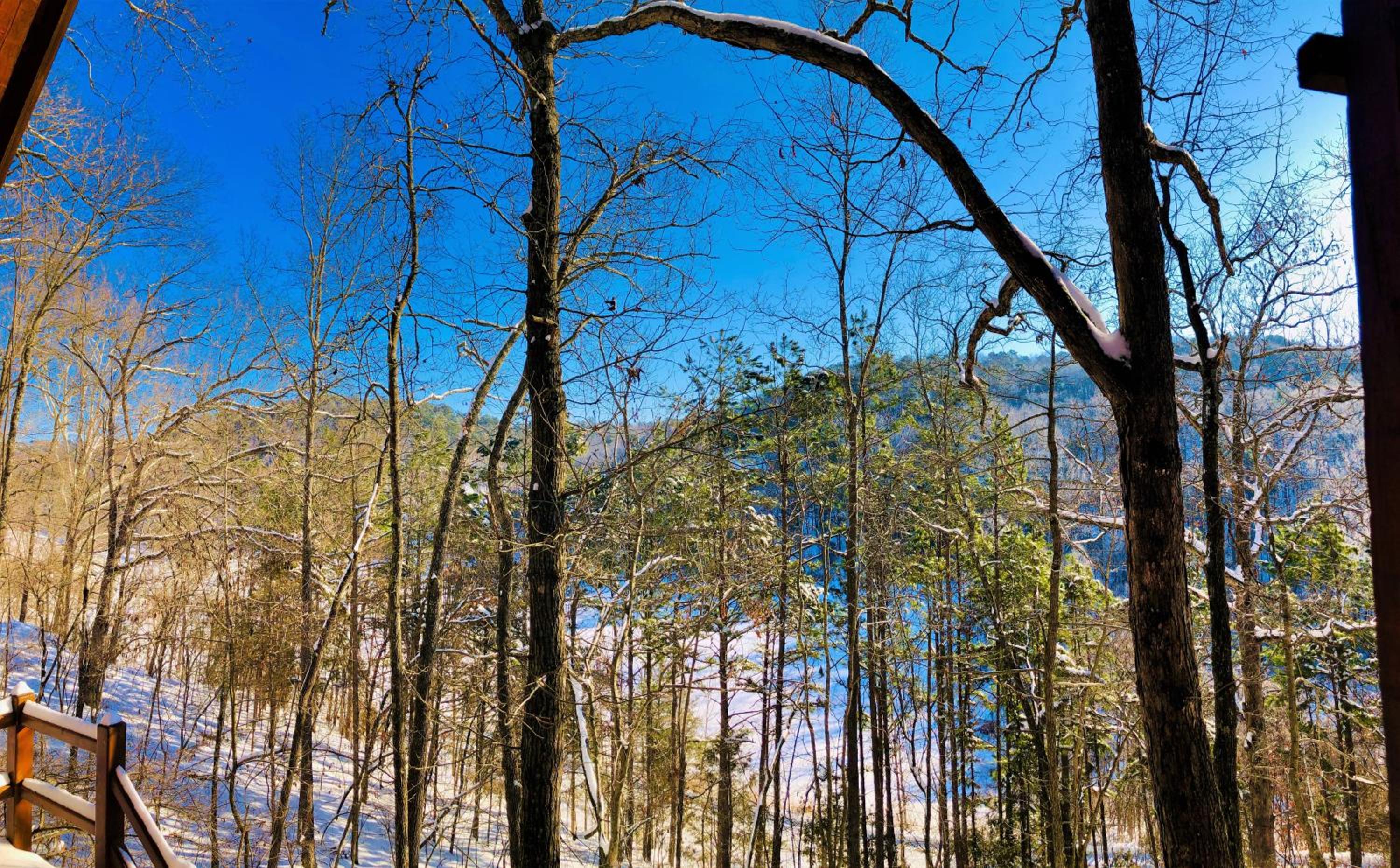 Cinnamon Valley
