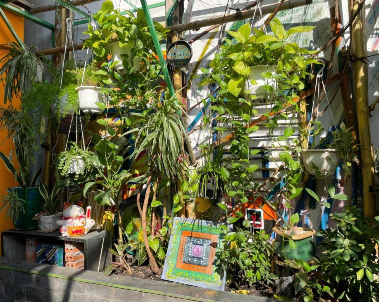 Green Cocoon