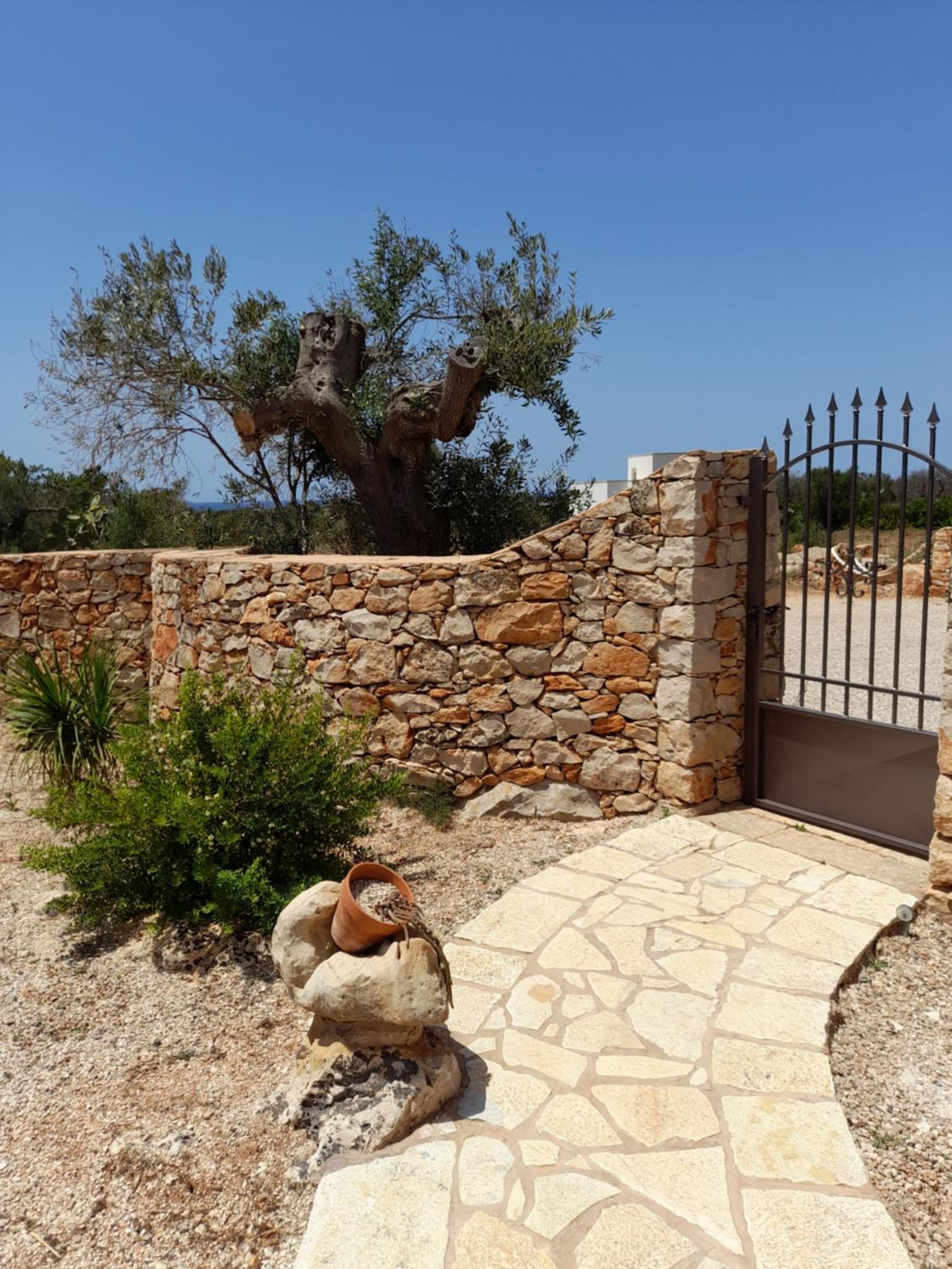 Trullo "Il fico d'india" photo 3