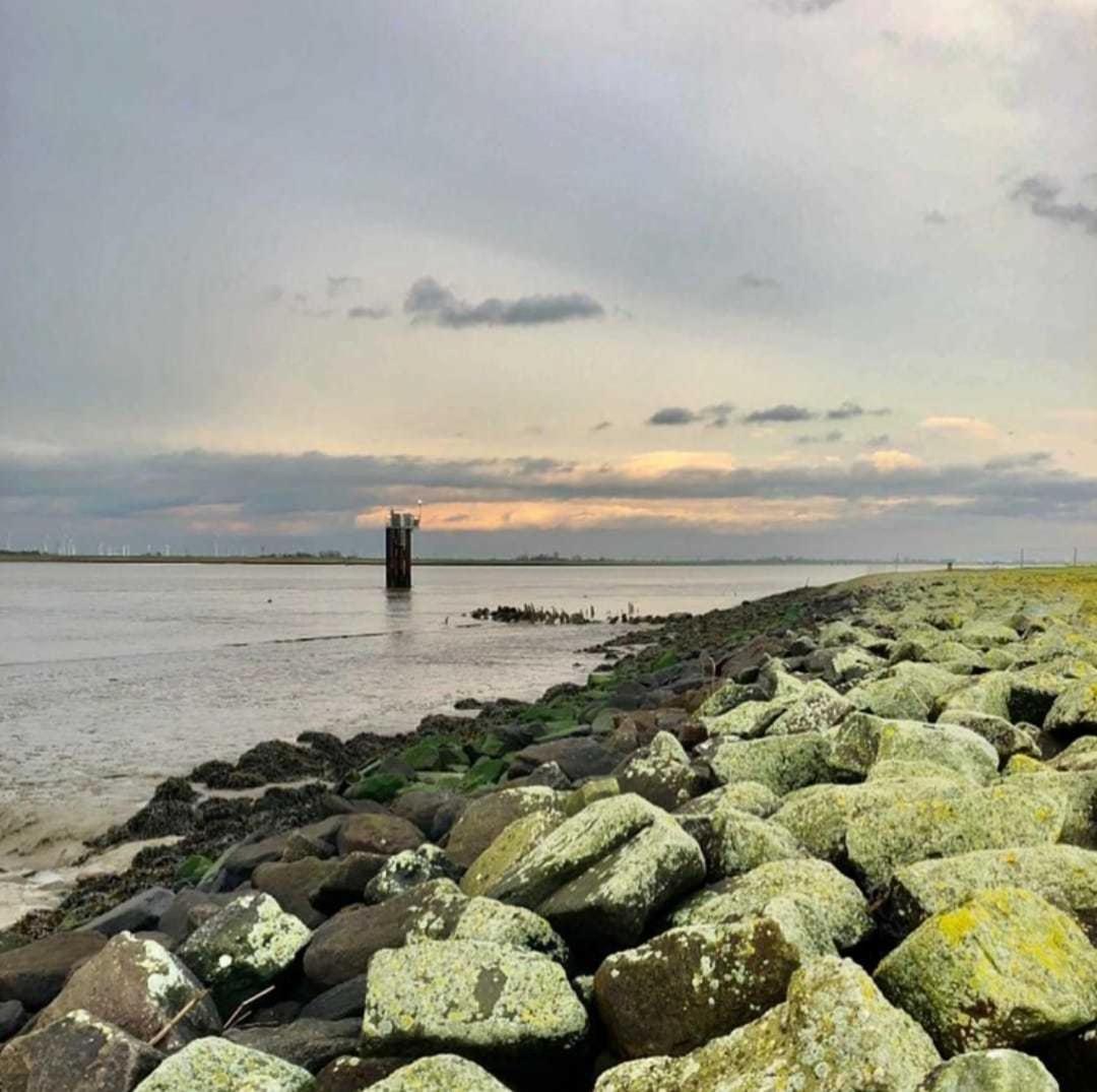 other