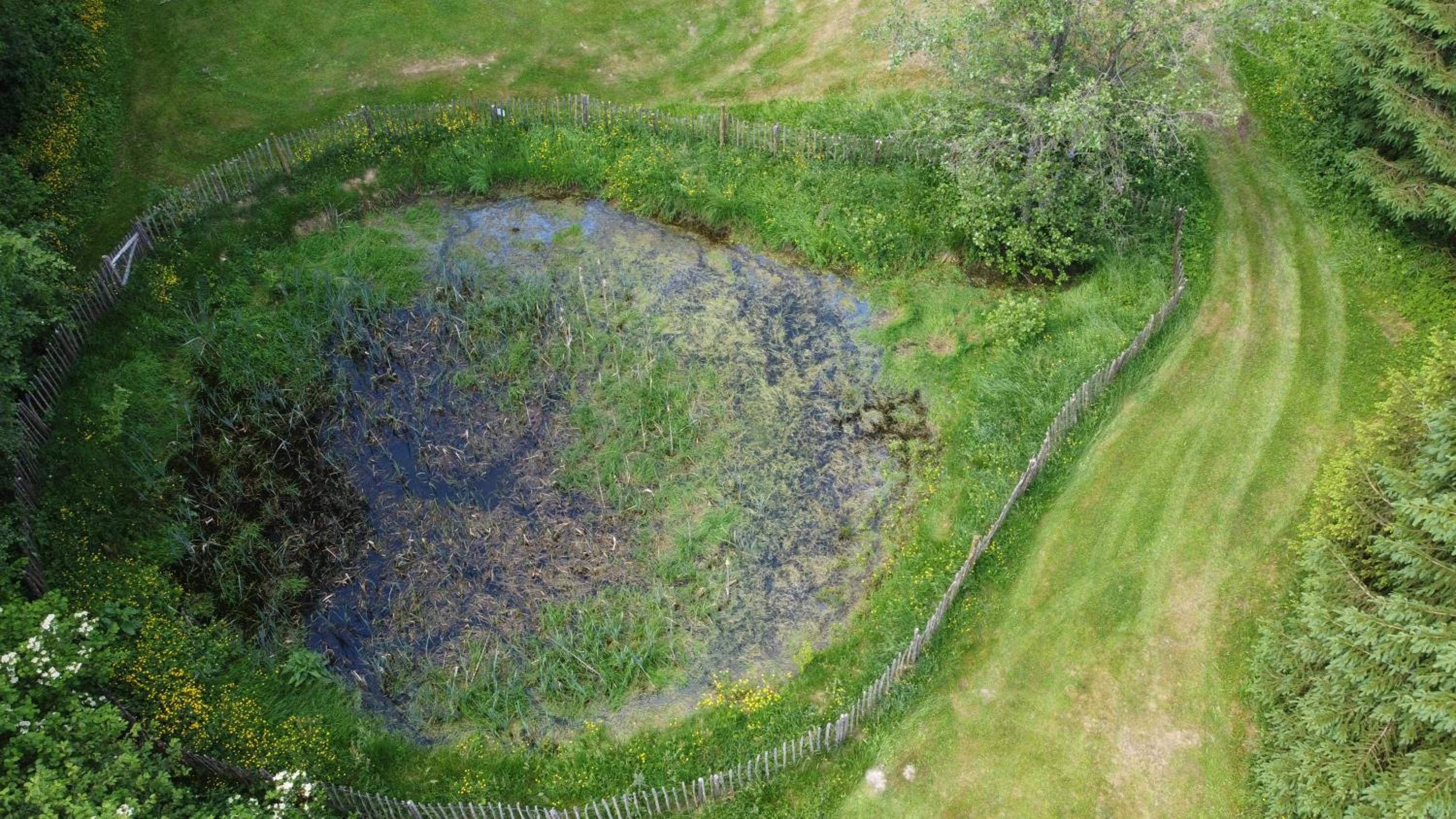 Le Bonheur de la Cascade 24 pers - Malmedy, wellness, jardin, confort