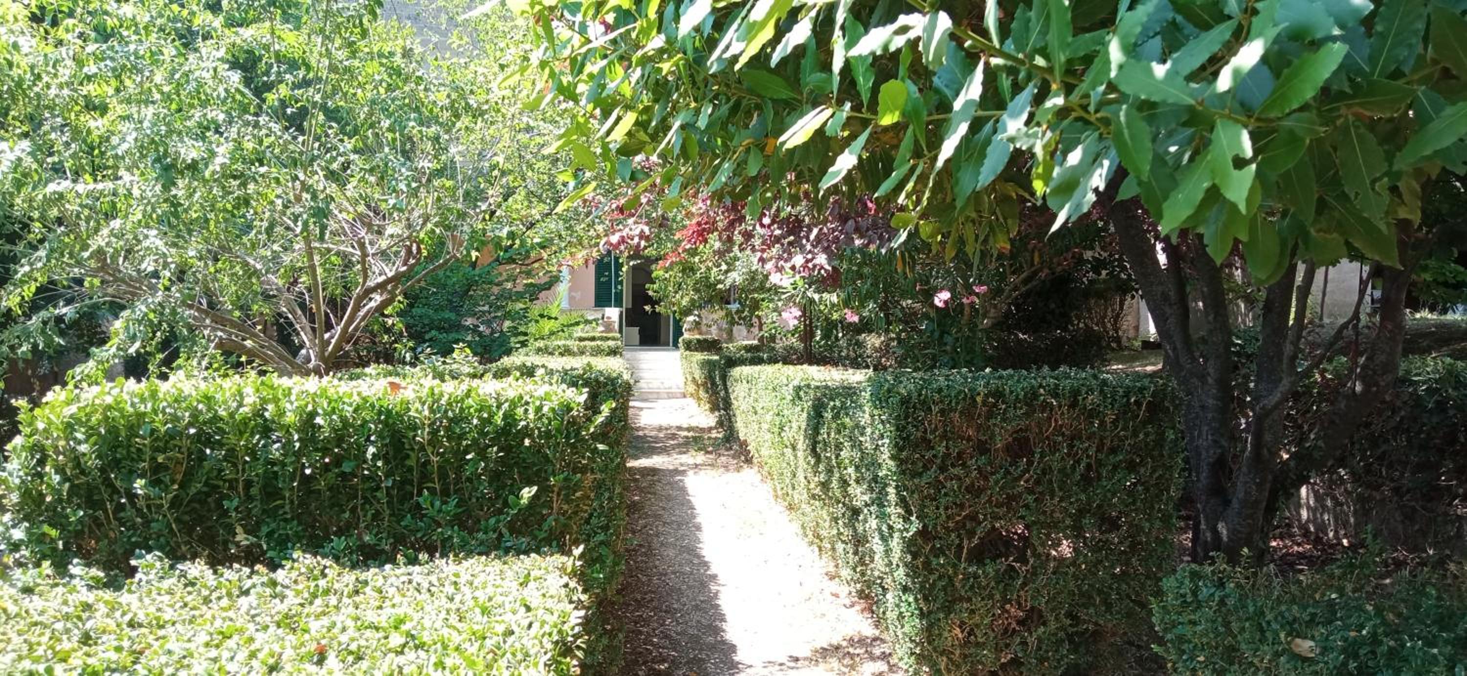 Il giardino di Emilia view 5