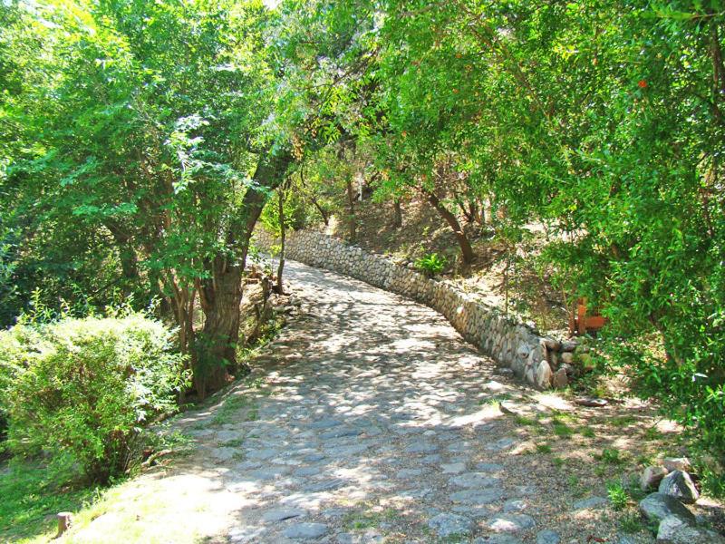 Cabañas Bosque Encantado