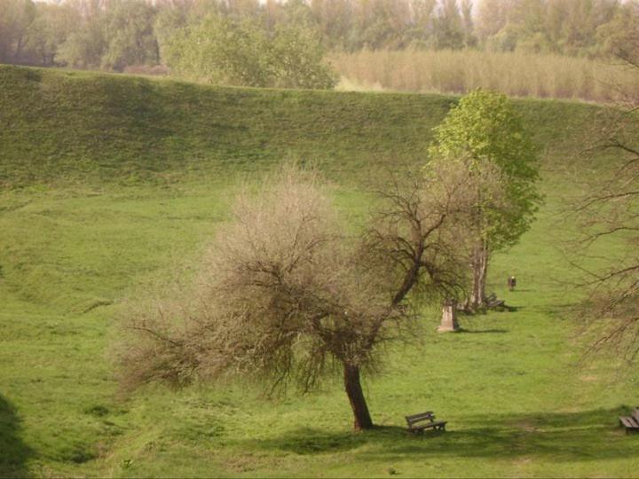 Szabolcs Vezér Panzió view 5