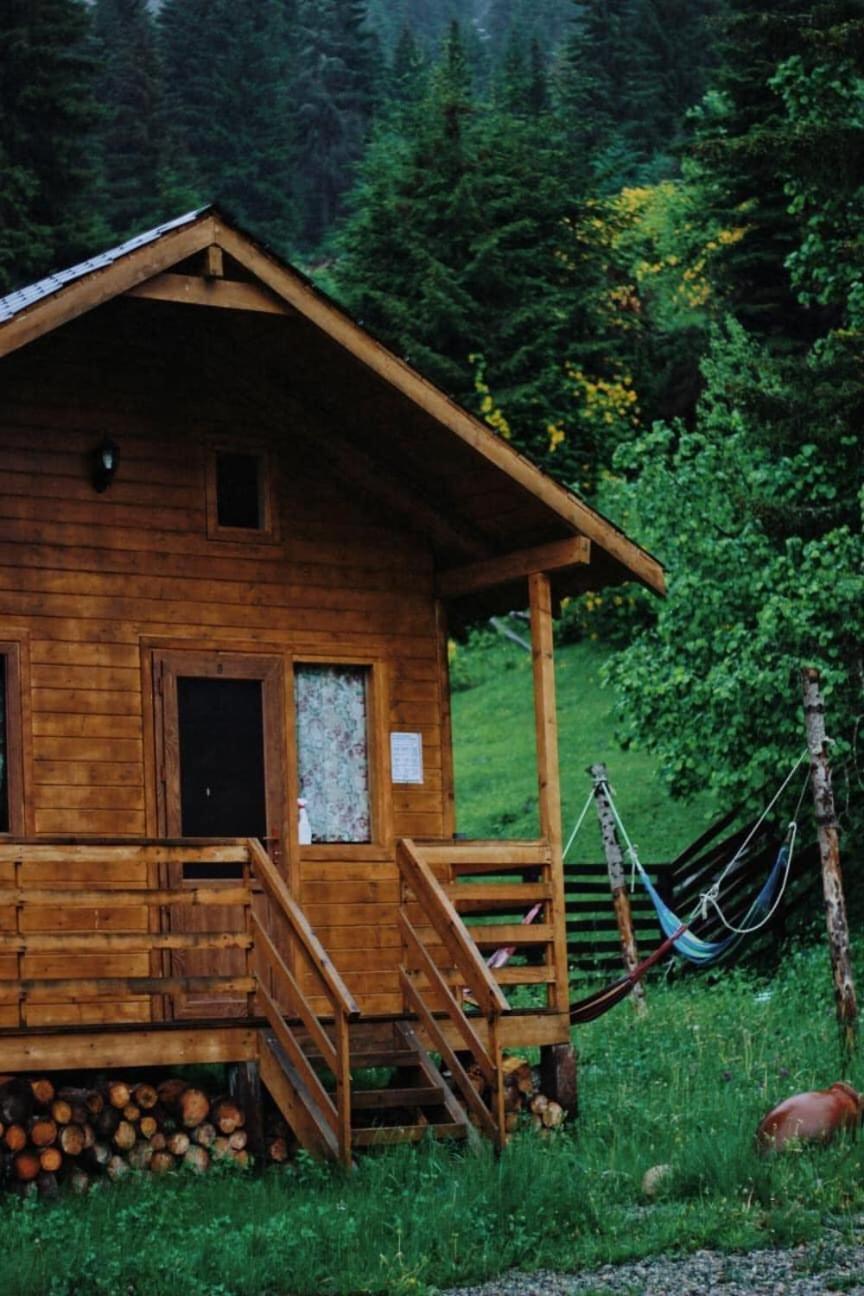 Mountain Cabins view 3