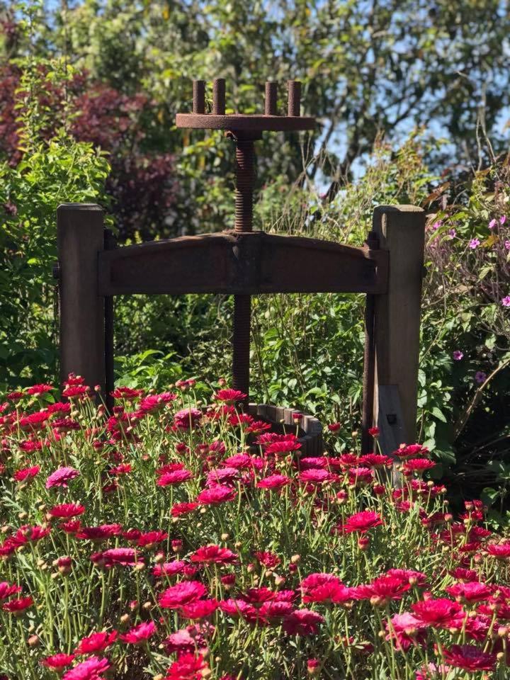 Robin Hoods Well Farm Stay