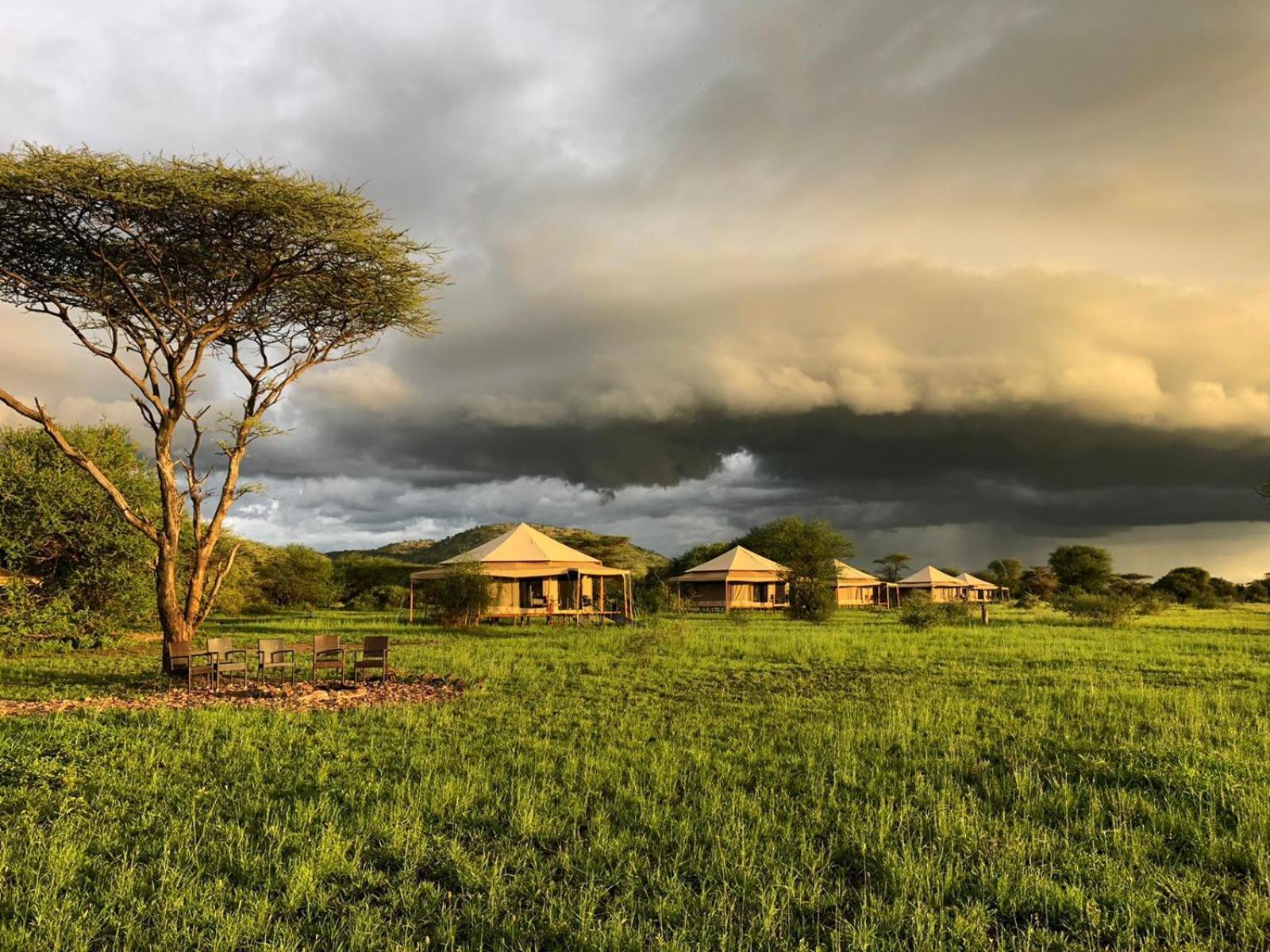 Serengeti National Park Vacations - Serengeti Sound of Silence - Property Image 4