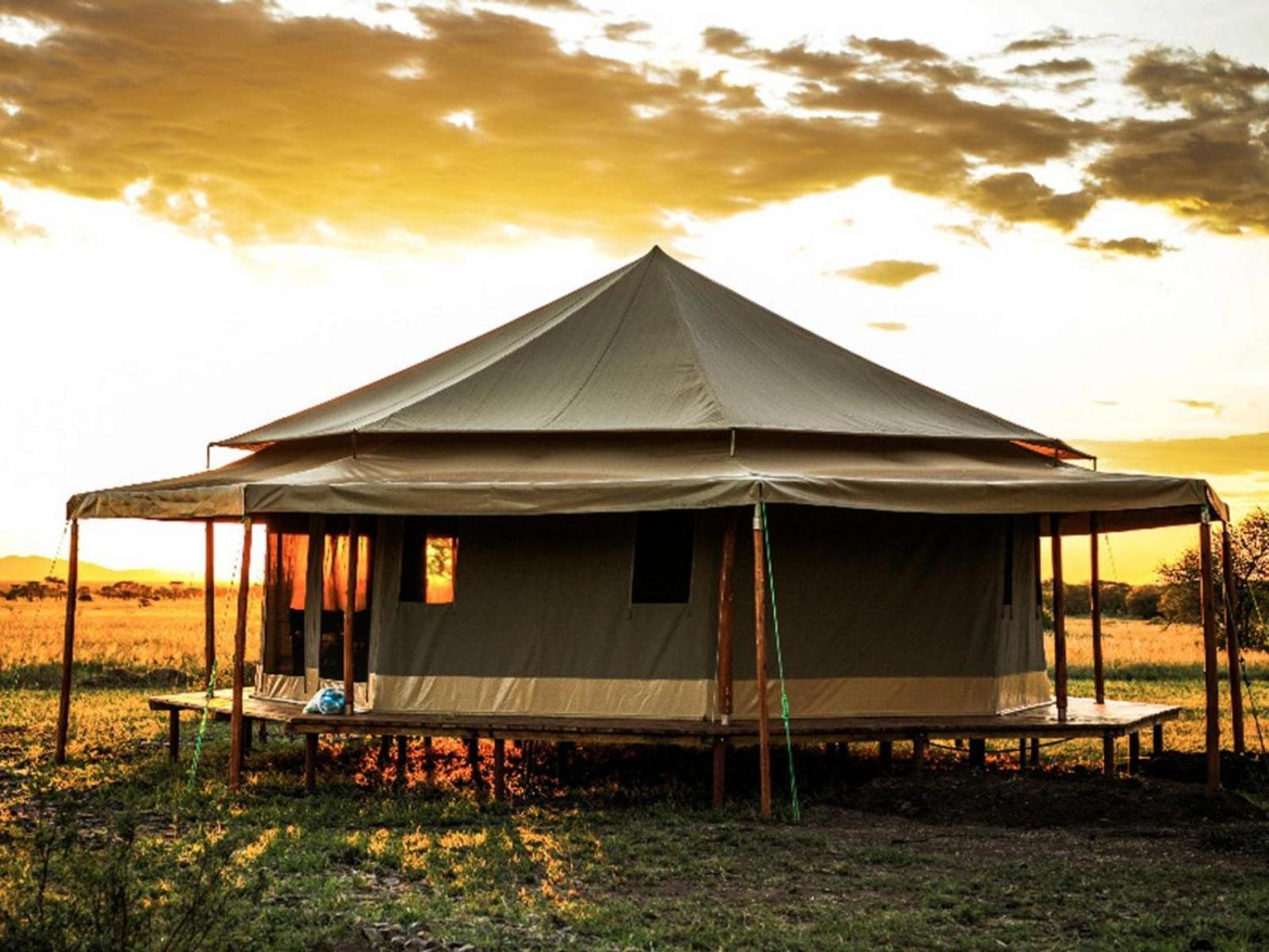 Serengeti National Park Vacations - Serengeti Sound of Silence - Property Image 6