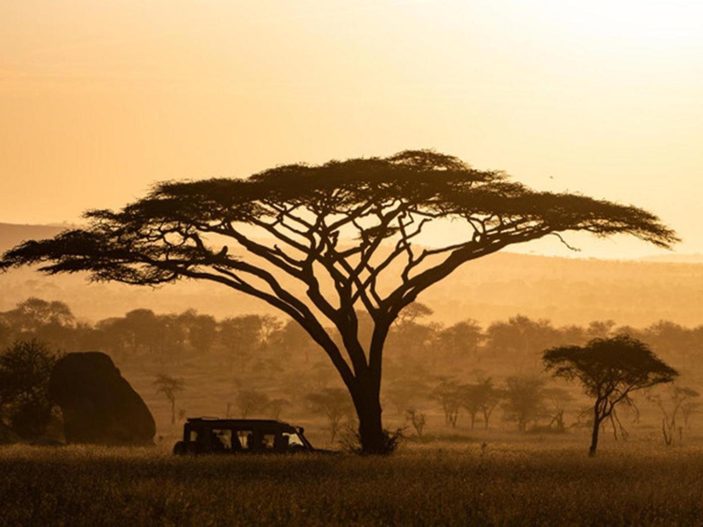 Serengeti National Park Vacations - Serengeti Sound of Silence - Property Image 5