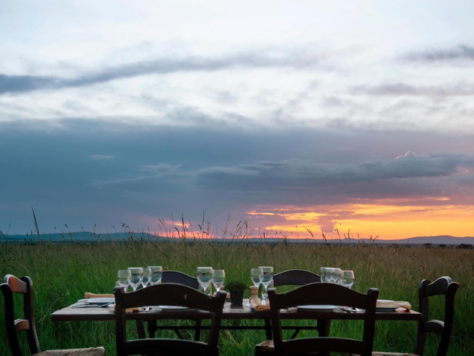 Serengeti National Park Vacations - Serengeti Sound of Silence - Property Image 8