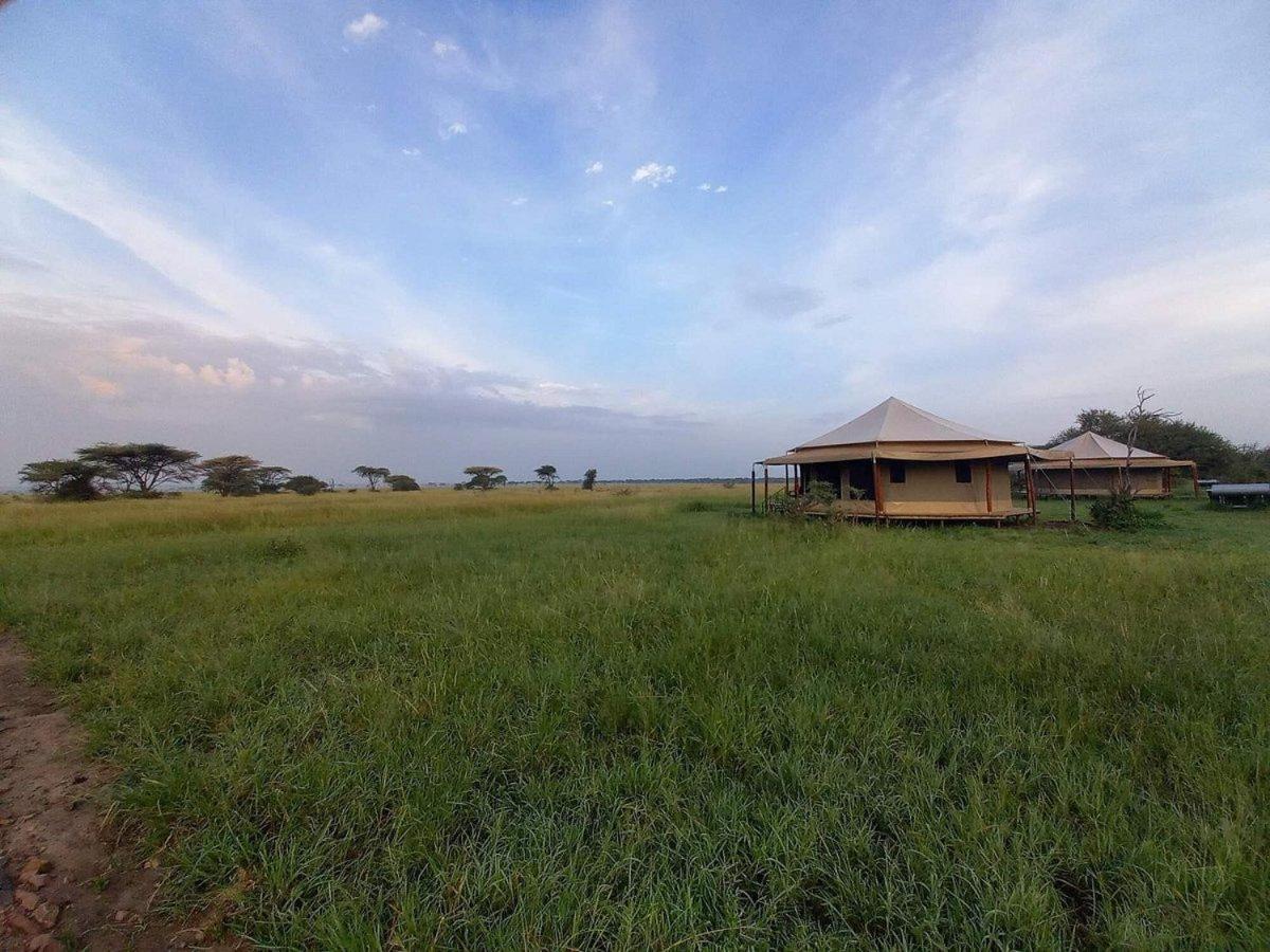 Serengeti Sound of Silence