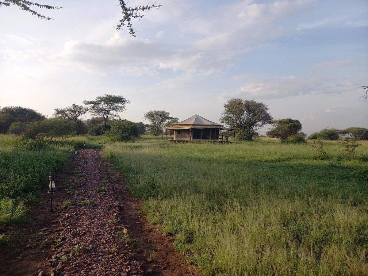 Serengeti National Park Vacations - Serengeti Sound of Silence - Property Image 13