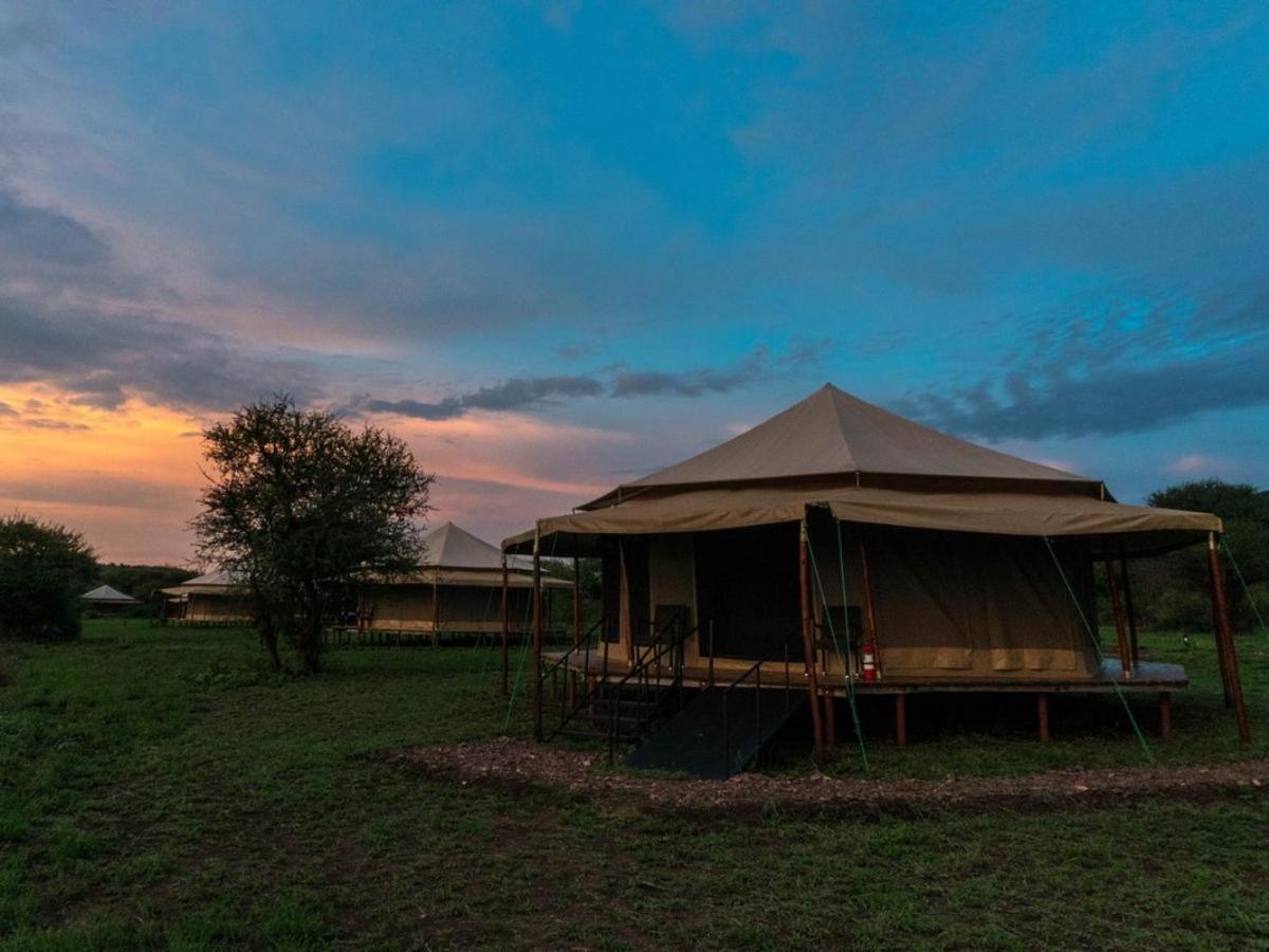 Serengeti Sound of Silence